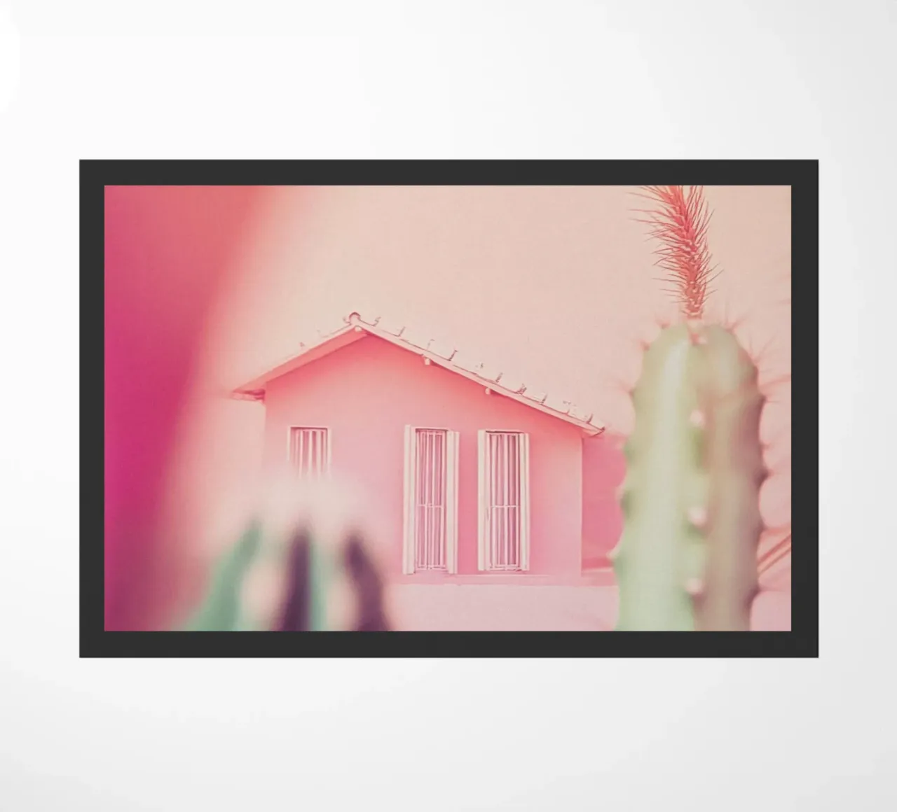26 zerbino da Pink California | Affiches & Posters