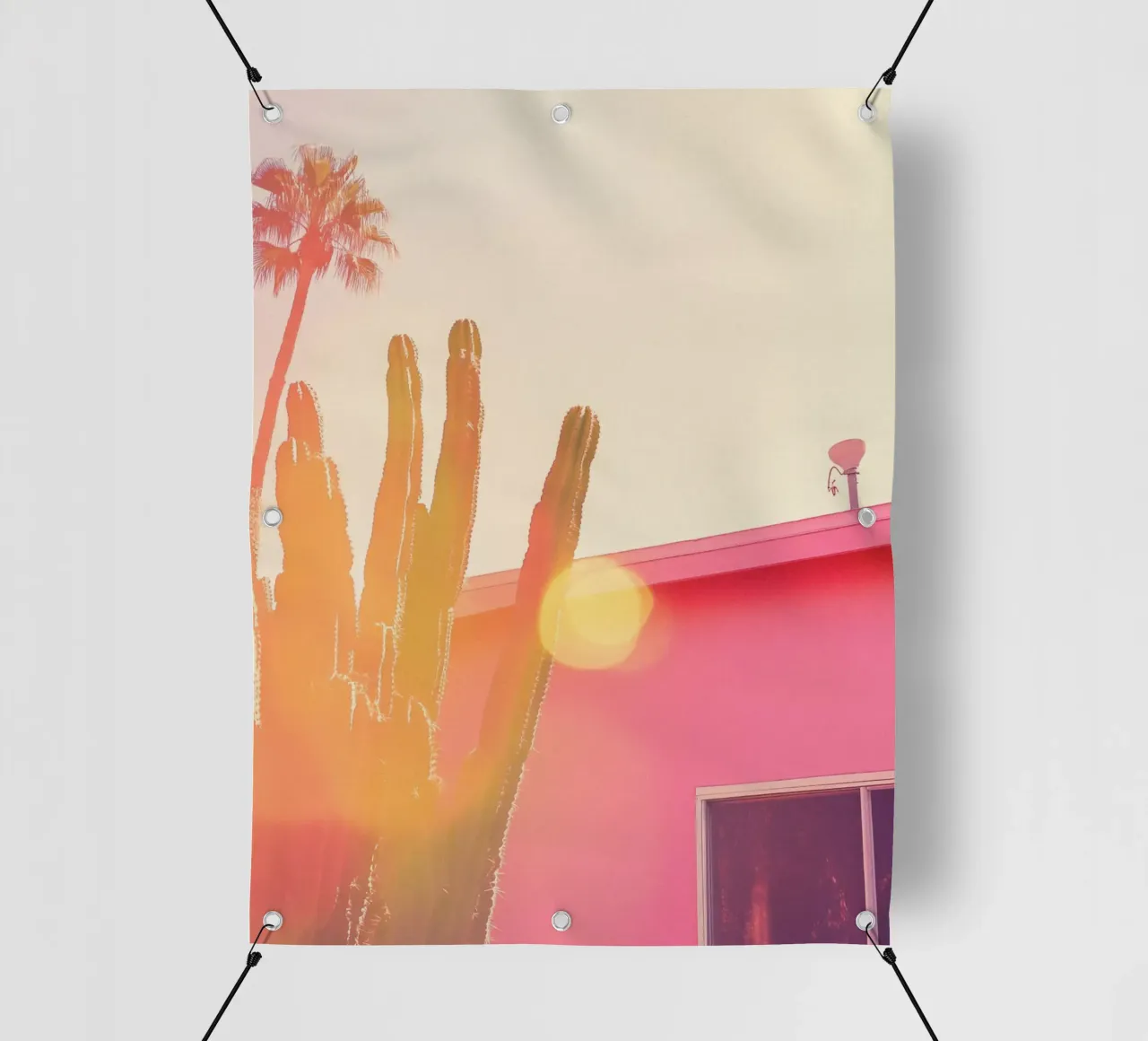 27 telo in pvc da Pink California | Affiches & Posters