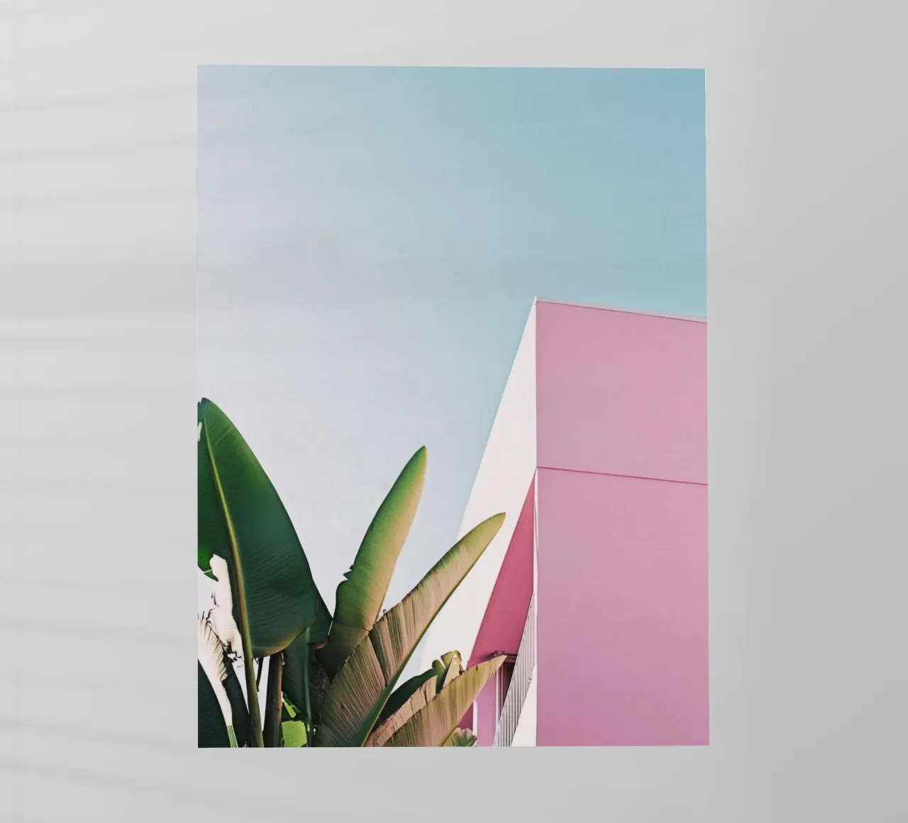 28 pellicola backlit da Pink California | Affiches & Posters