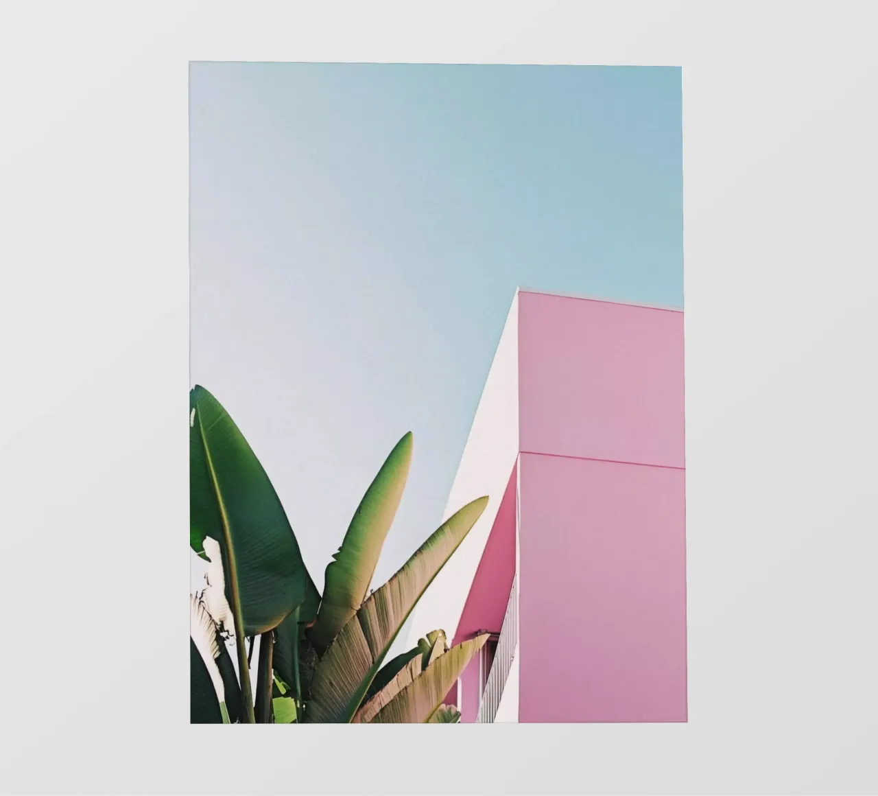 28 telo in pvc da Pink California | Affiches & Posters