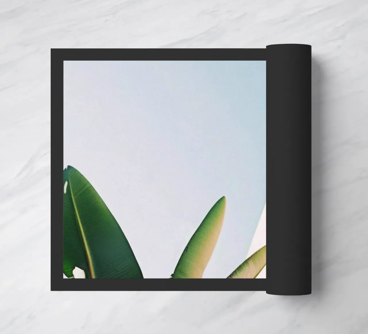 28 zerbino da Pink California | Affiches & Posters