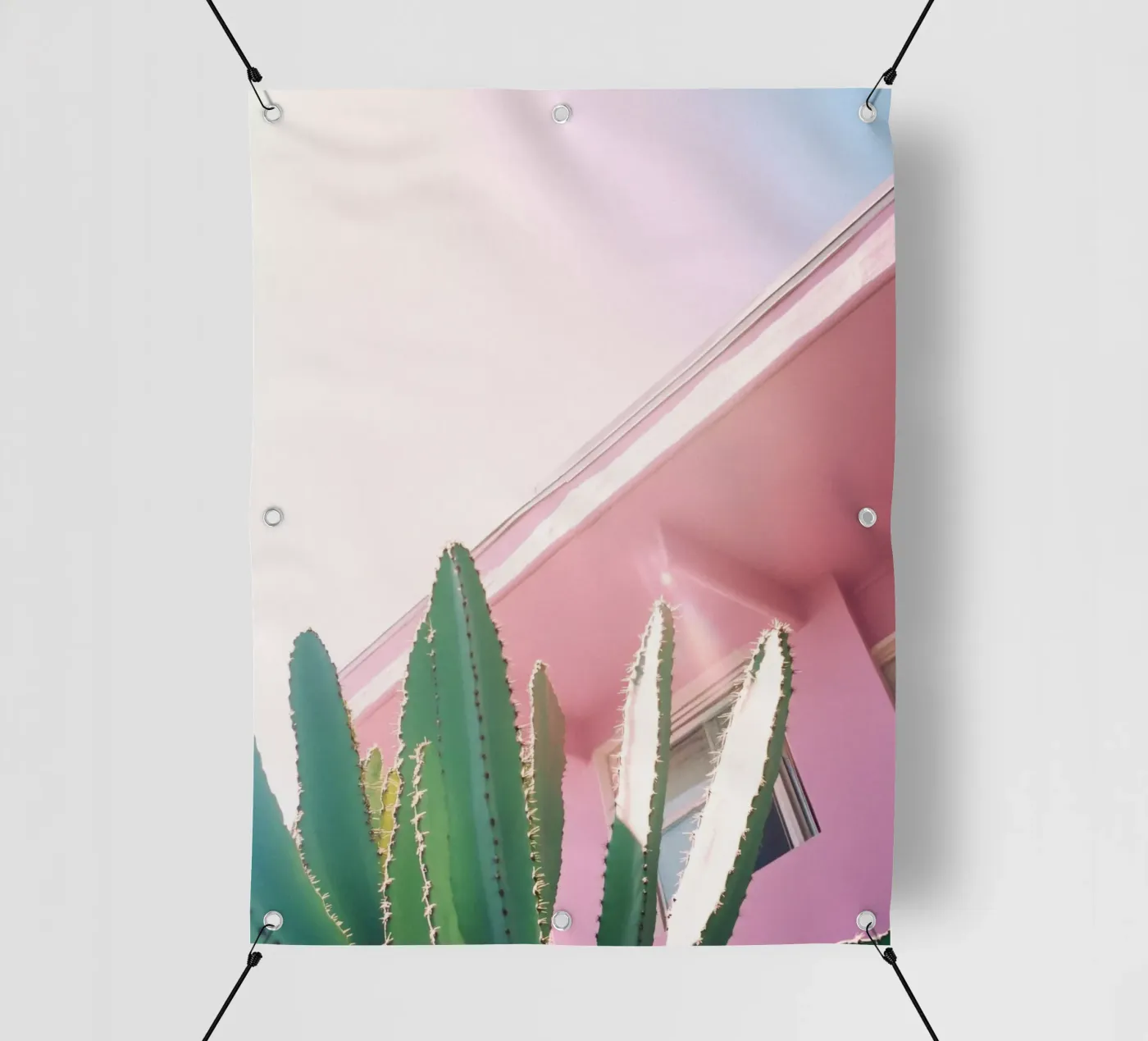 30 telo in pvc da Pink California | Affiches & Posters