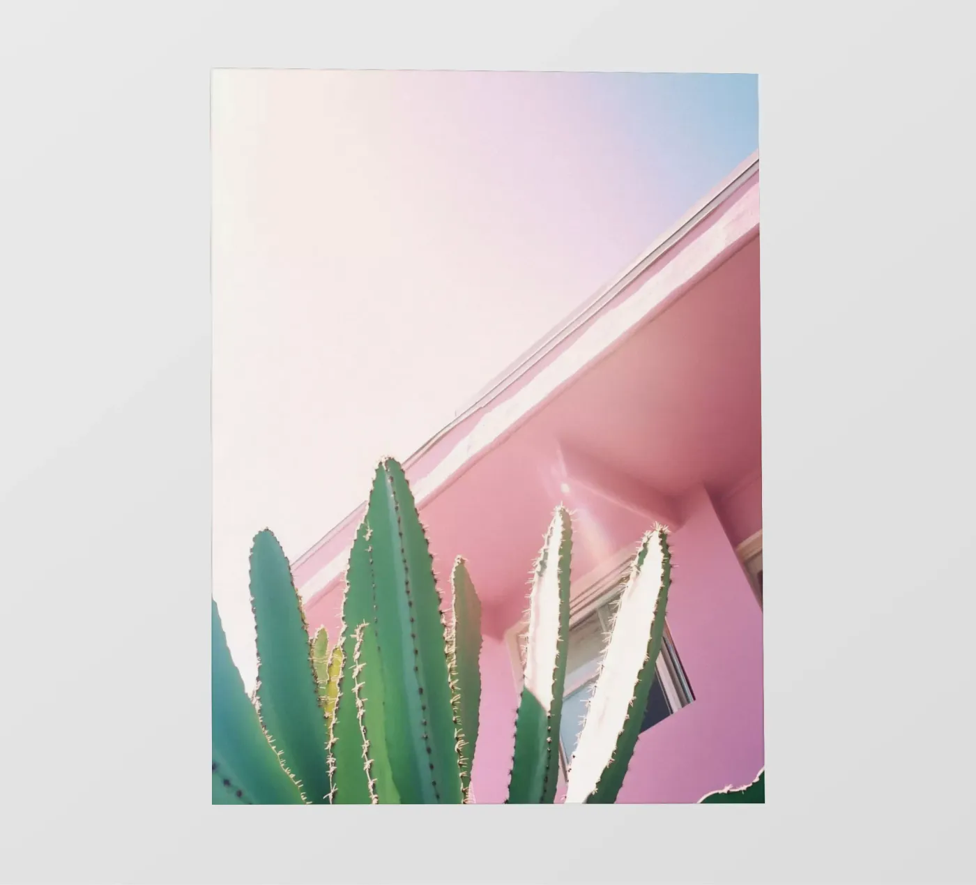 30 telo in pvc da Pink California | Affiches & Posters