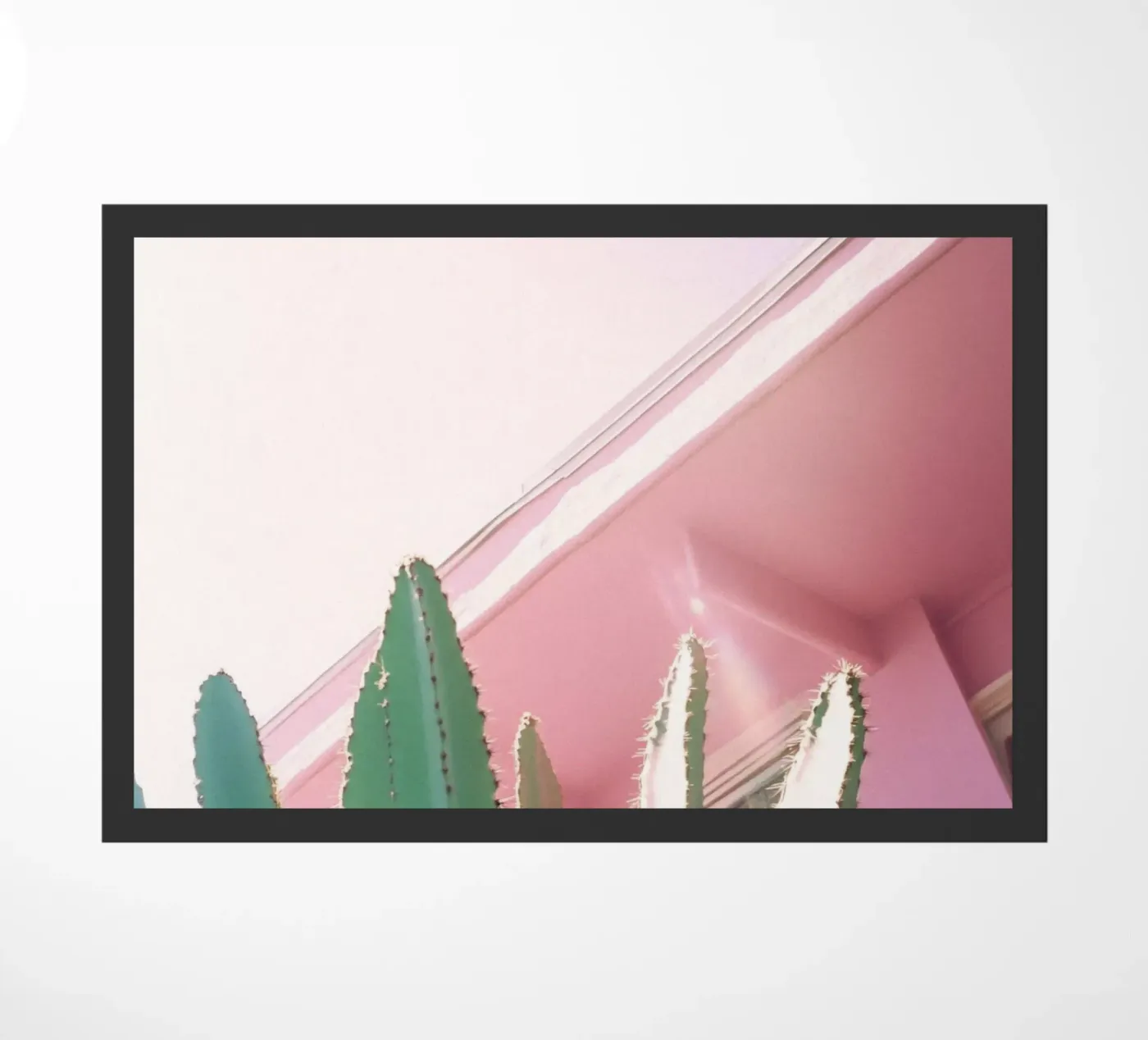 30 zerbino da Pink California | Affiches & Posters