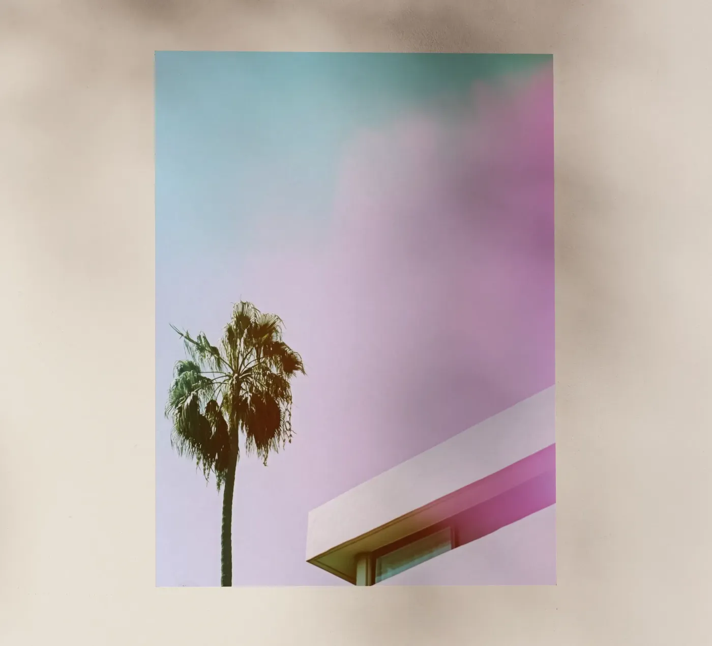 31 Backlit Folie von Pink California | Affiches & Posters