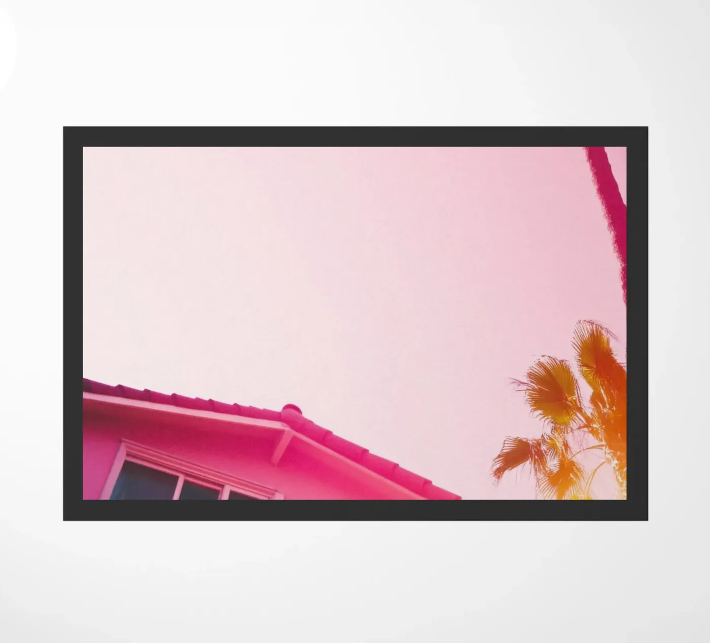 32 zerbino da Pink California | Affiches & Posters
