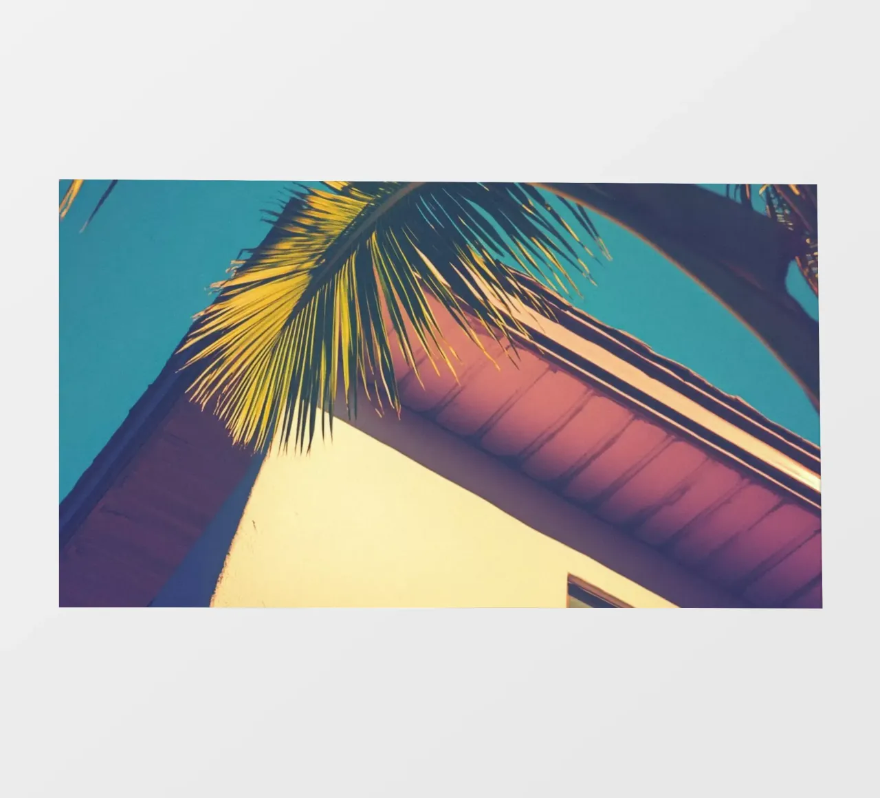 33 fotobehang van Pink California | Affiches & Posters