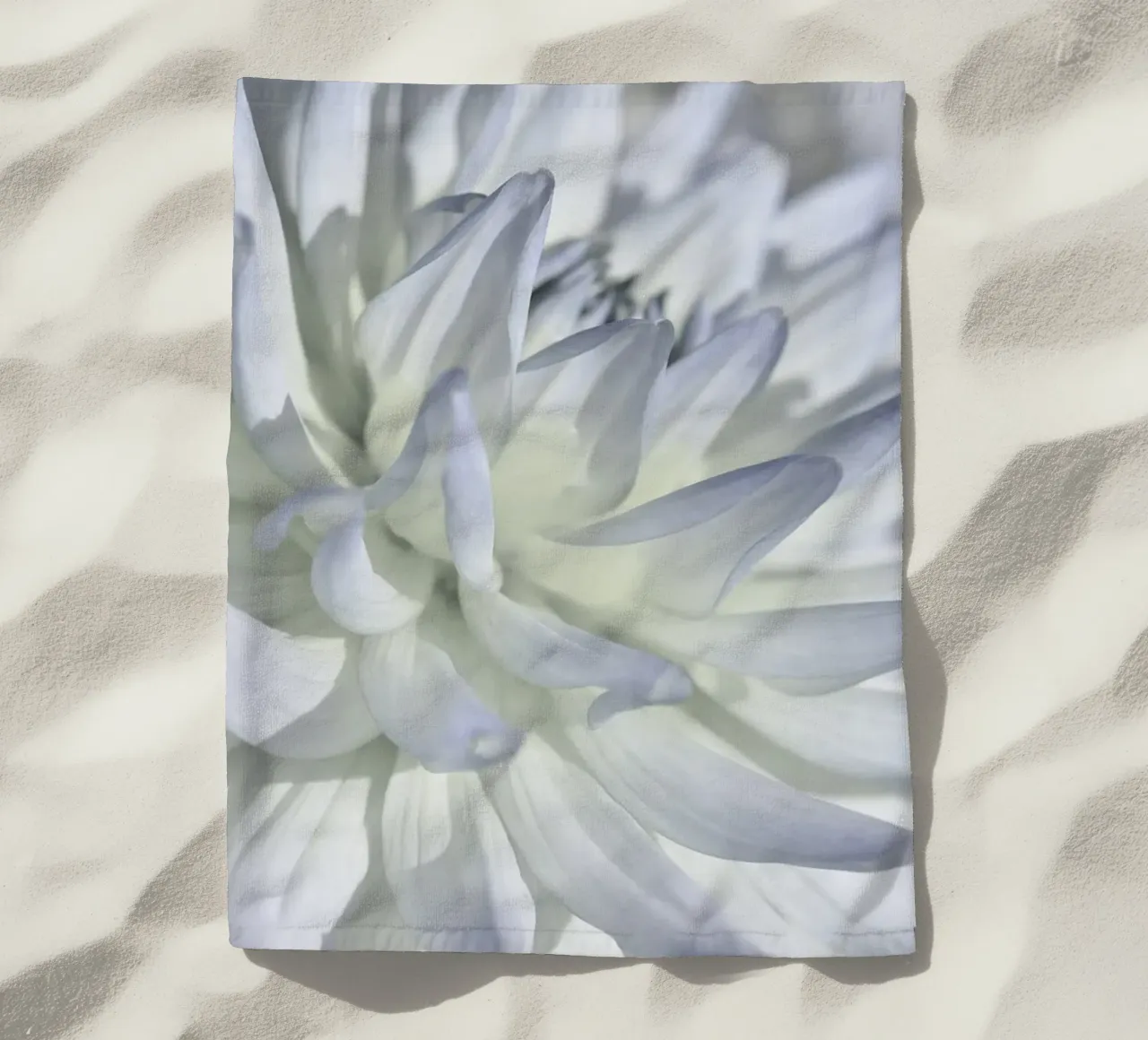 Dalia telo mare da Atteloi