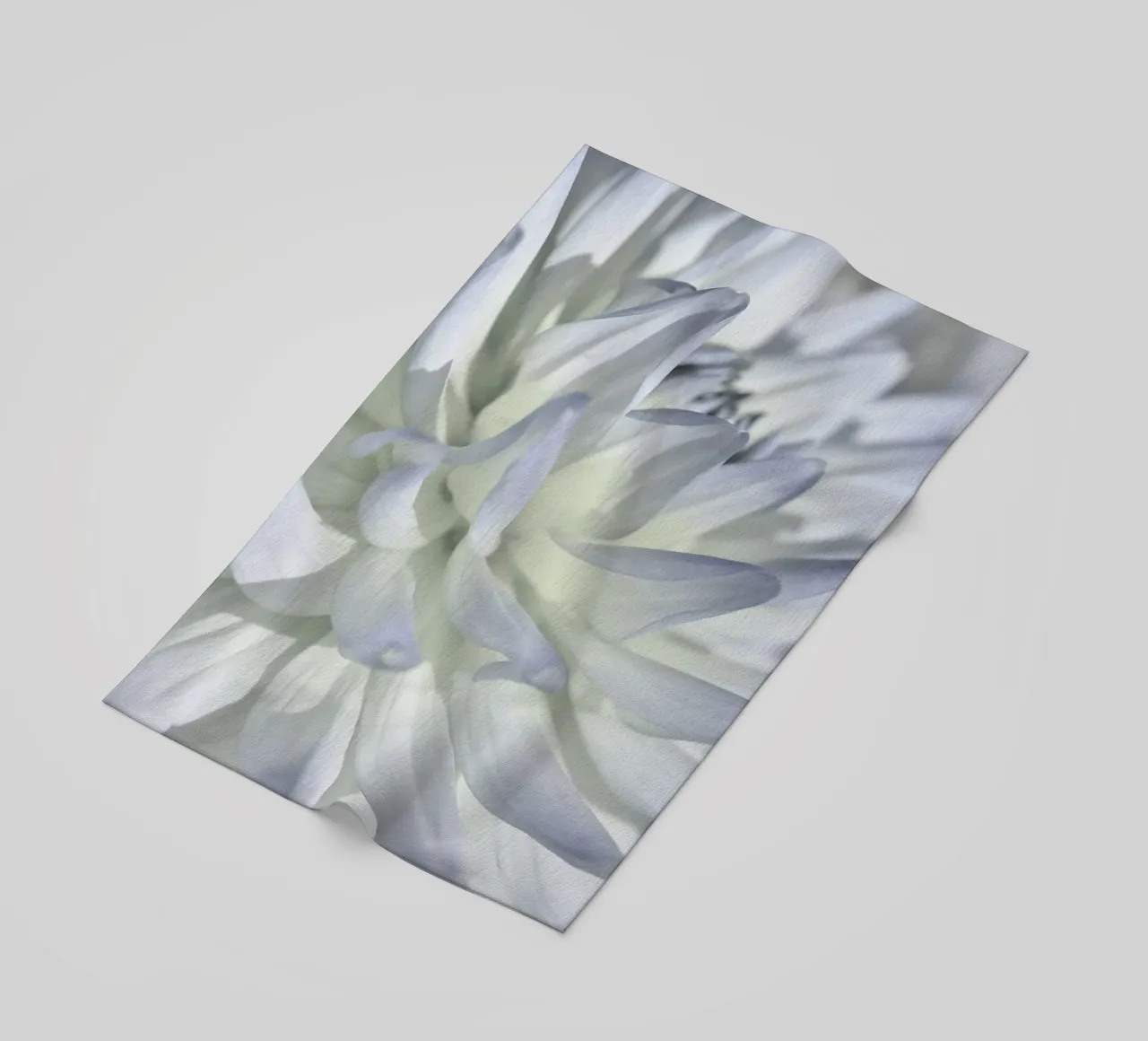 Dalia telo mare da Atteloi