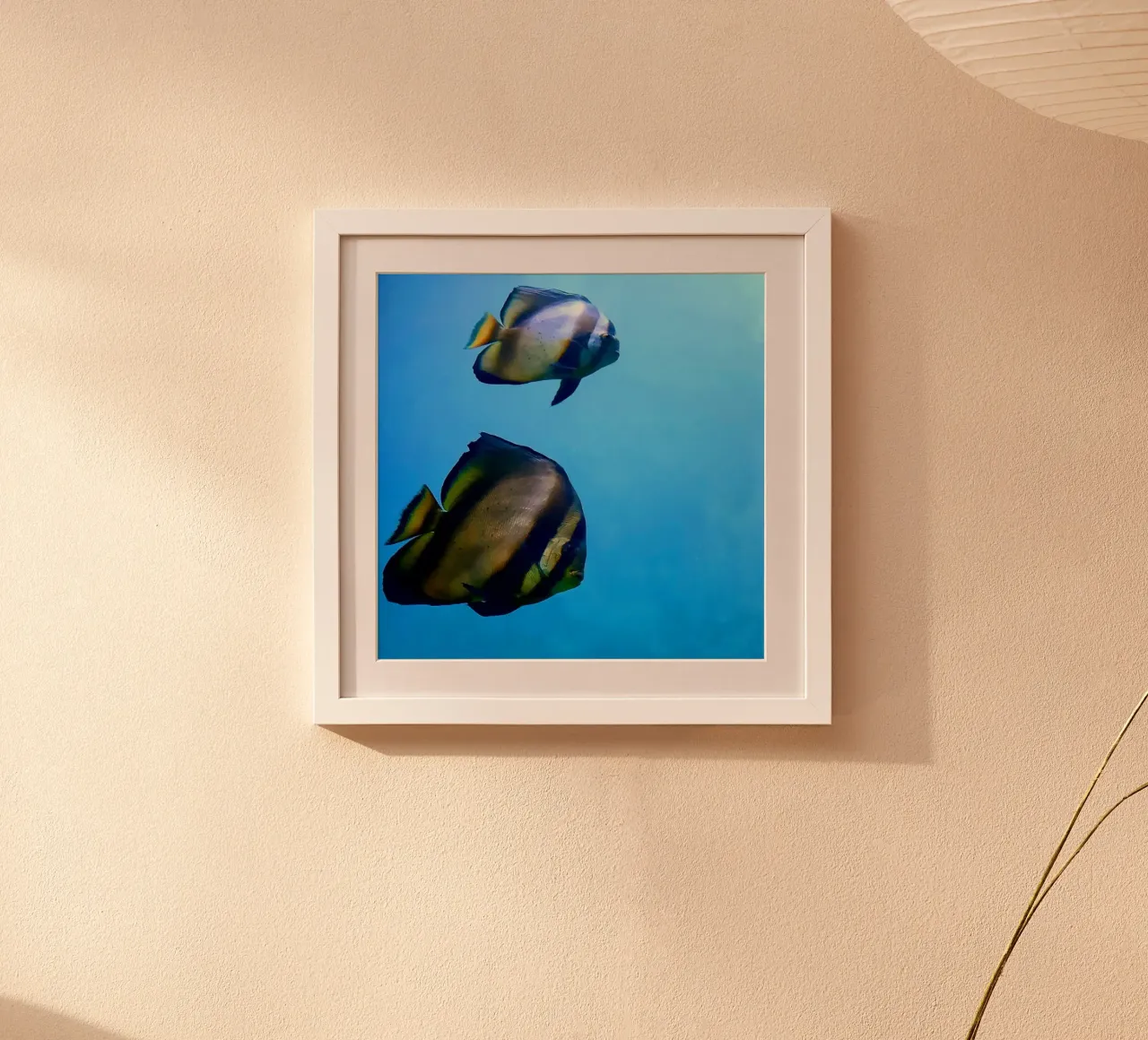 Seafish poster da Tabea Jule Photography