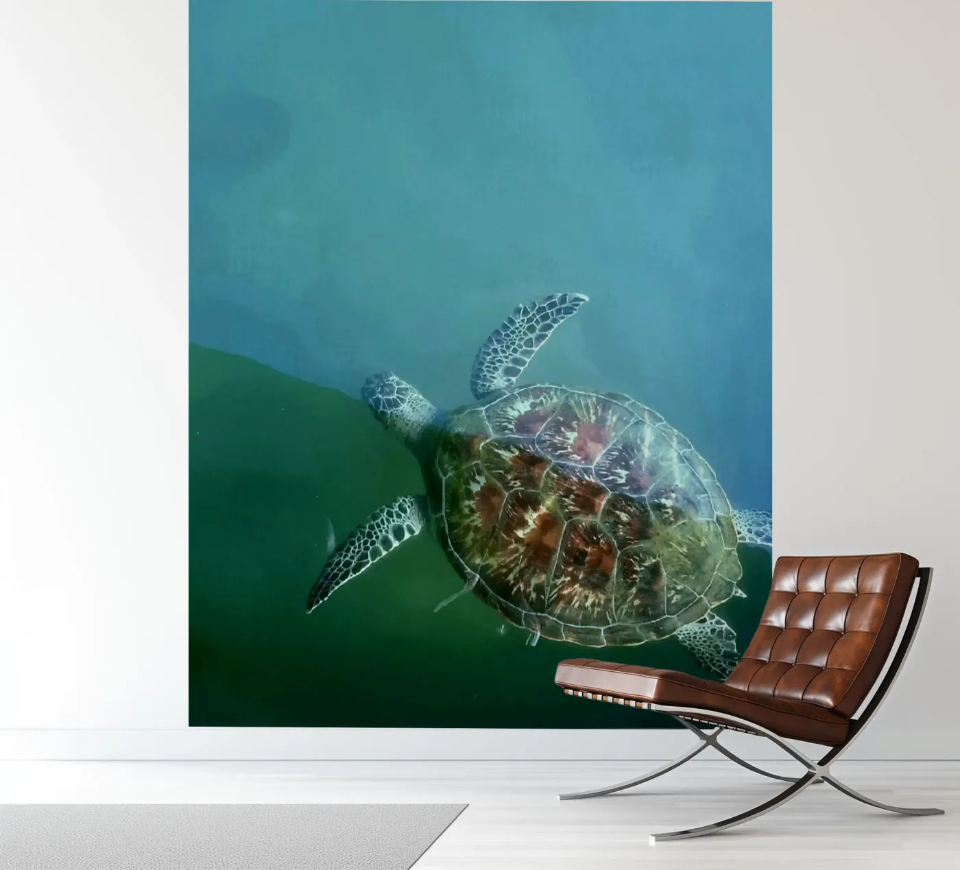 Turtle fotobehang van Tabea Jule Photography