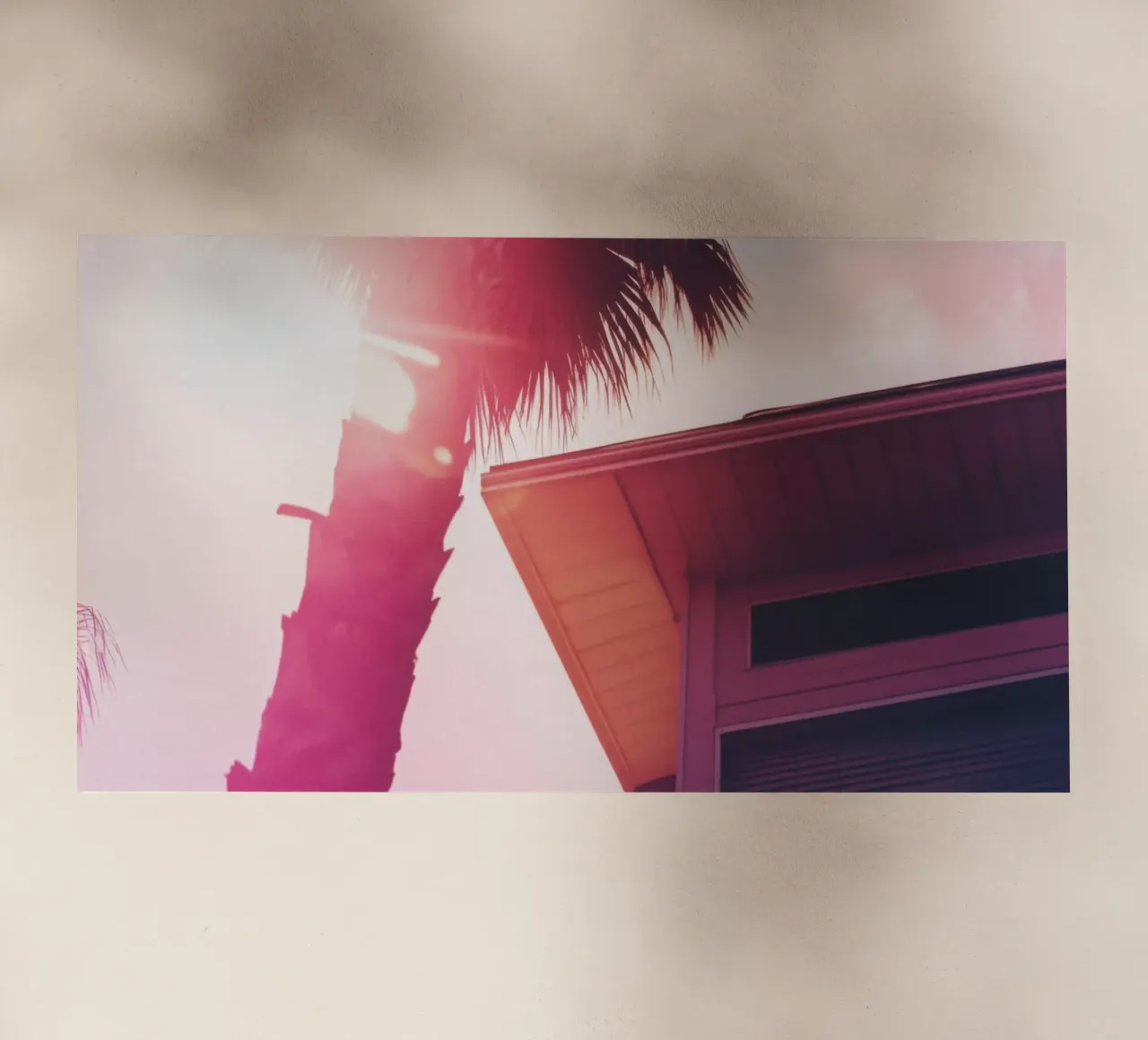 35 pellicola backlit da Pink California | Affiches & Posters