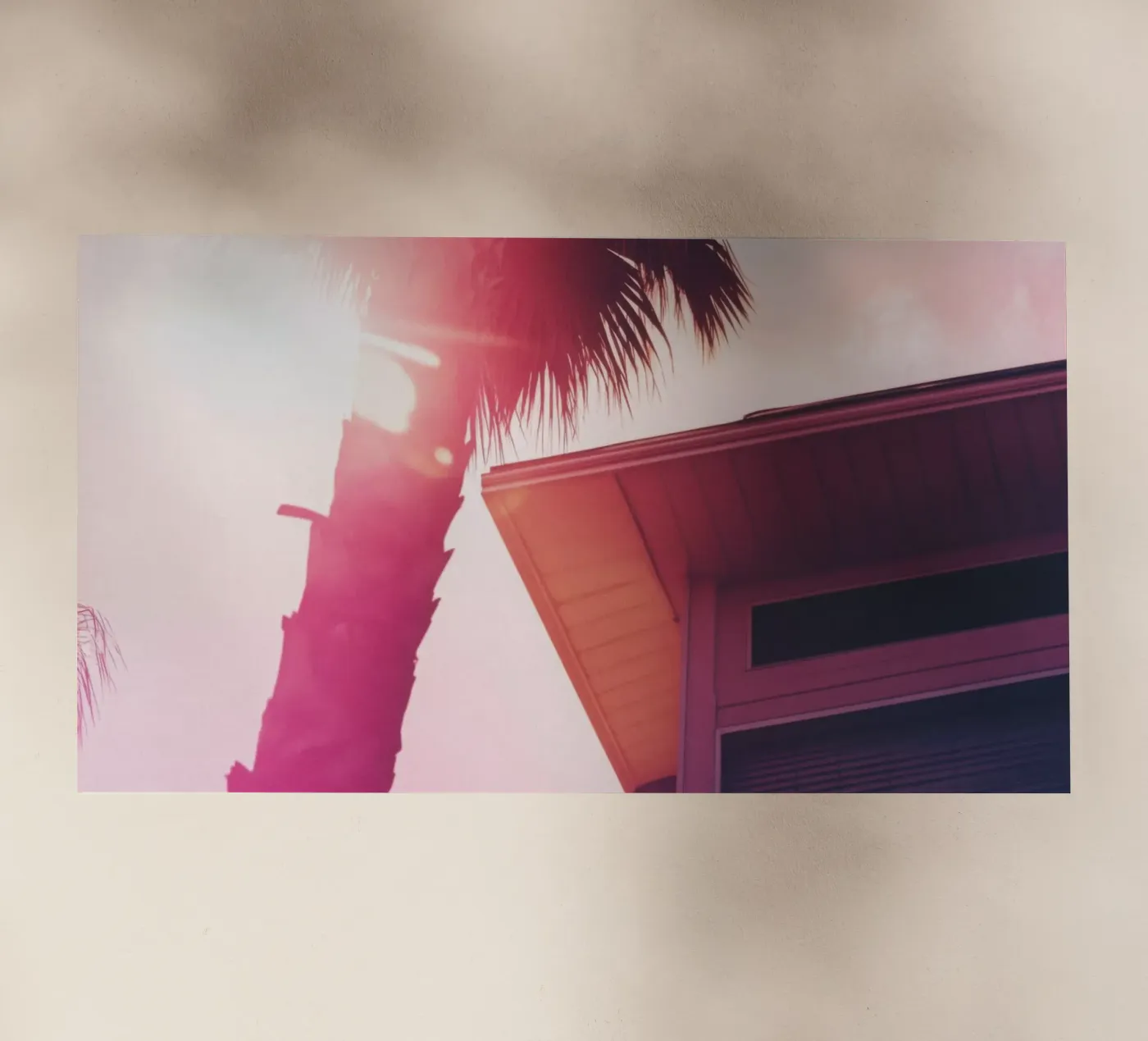 35 pellicola backlit da Pink California | Affiches & Posters