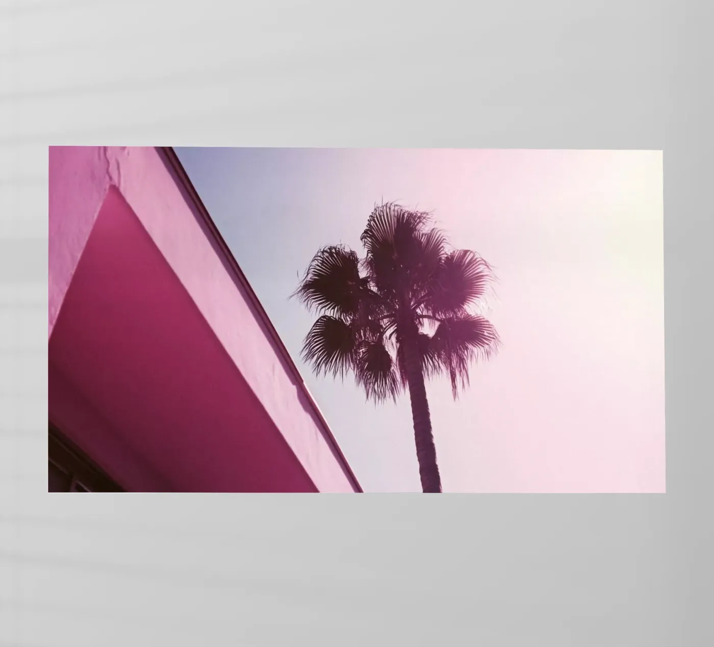34 backlit film by Pink California | Affiches & Posters