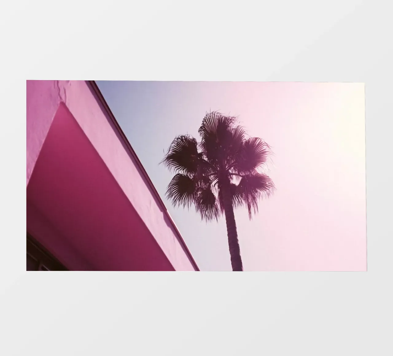 34 pellicola backlit da Pink California | Affiches & Posters