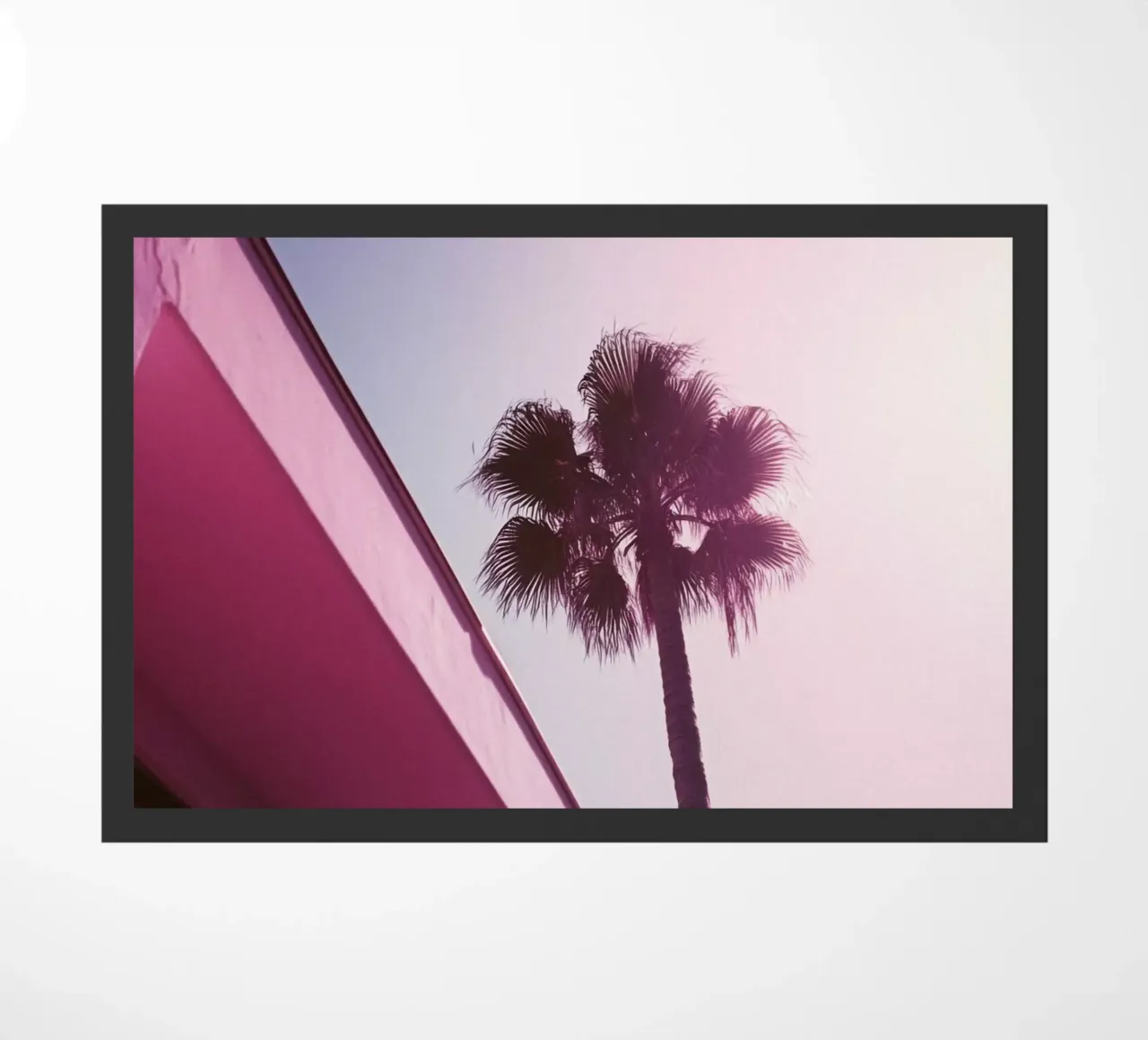 34 zerbino da Pink California | Affiches & Posters