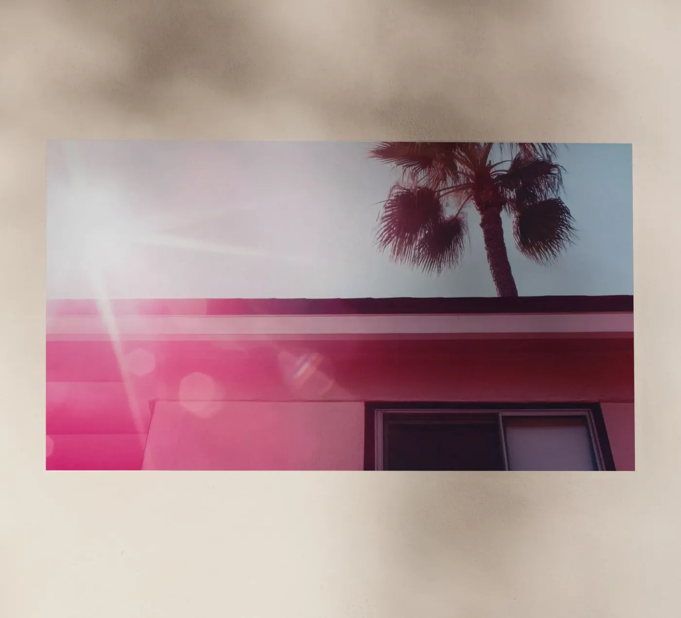 36 pellicola backlit da Pink California | Affiches & Posters