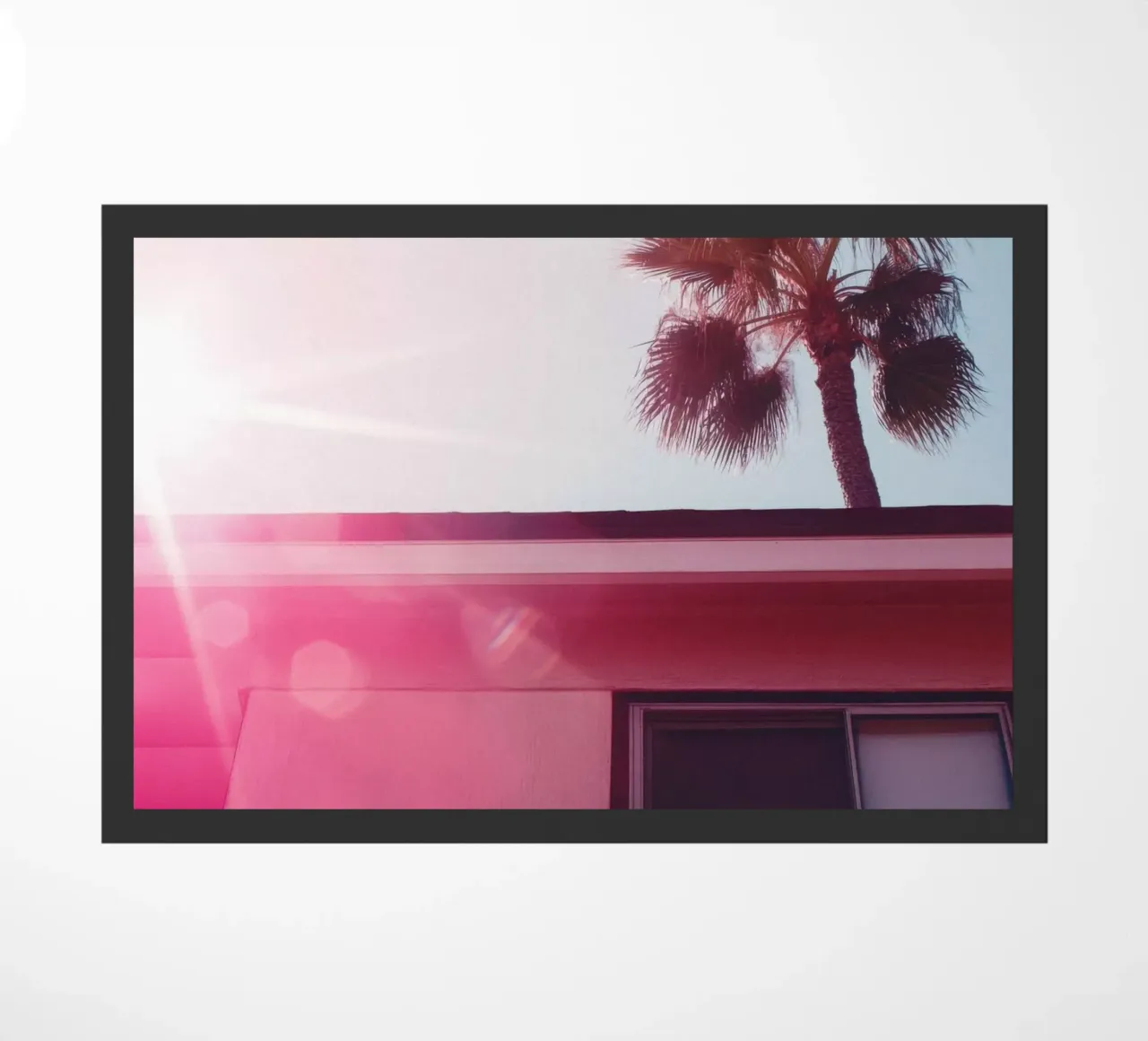 36 zerbino da Pink California | Affiches & Posters