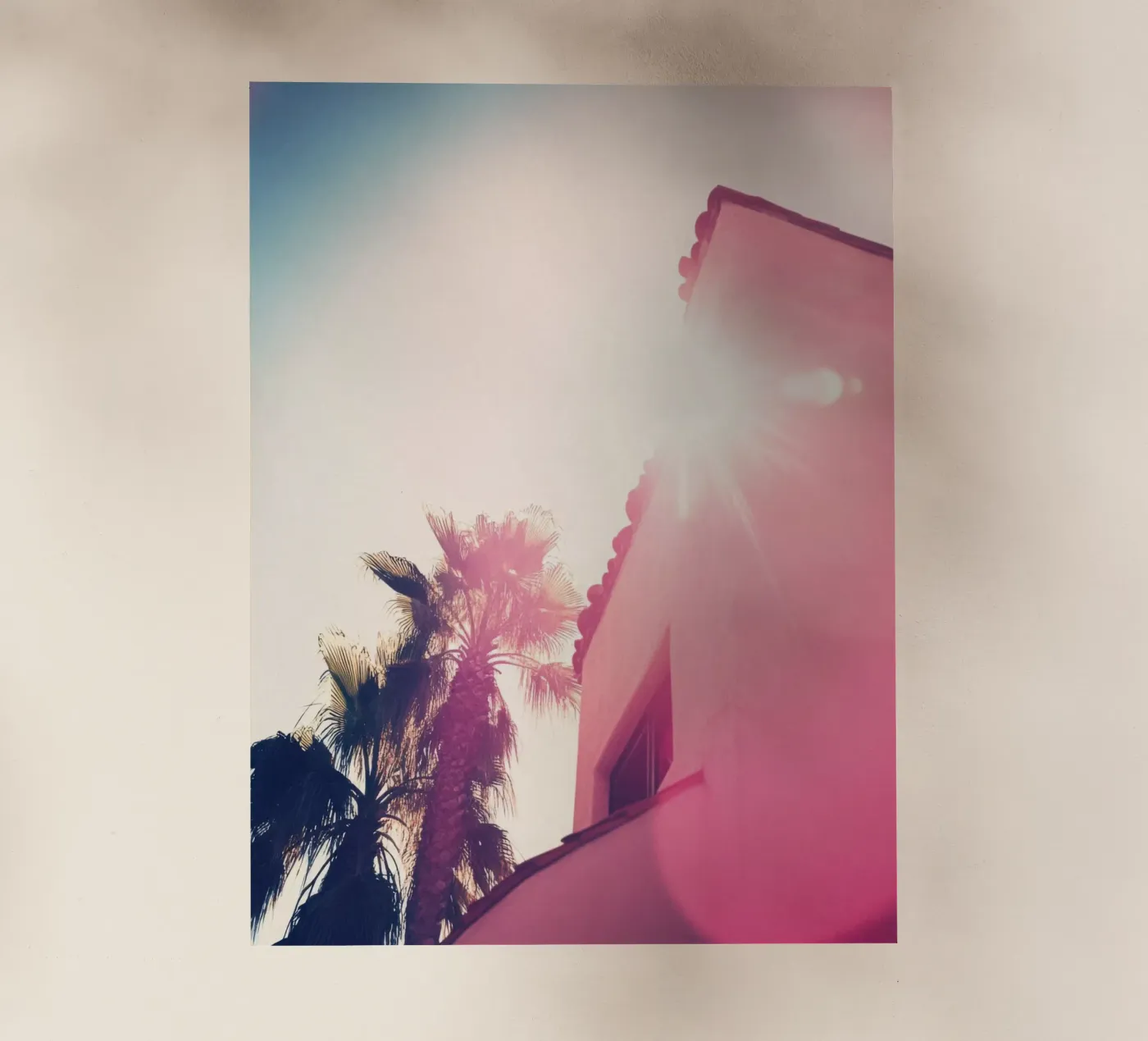 37 pellicola backlit da Pink California | Affiches & Posters