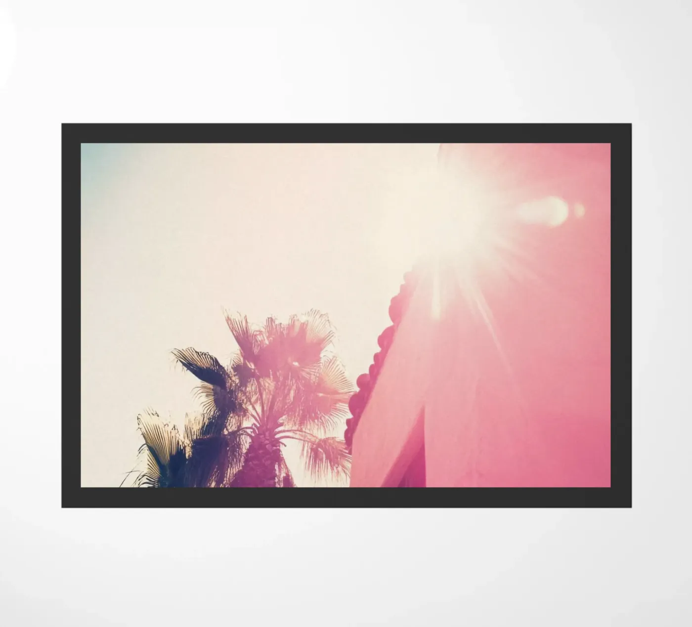 37 zerbino da Pink California | Affiches & Posters