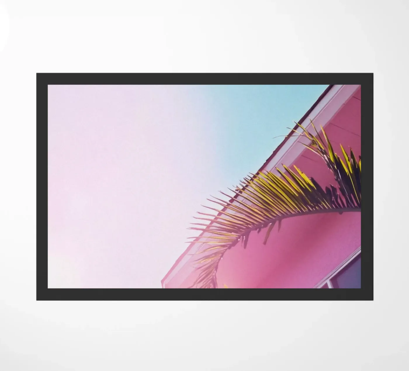 38 zerbino da Pink California | Affiches & Posters