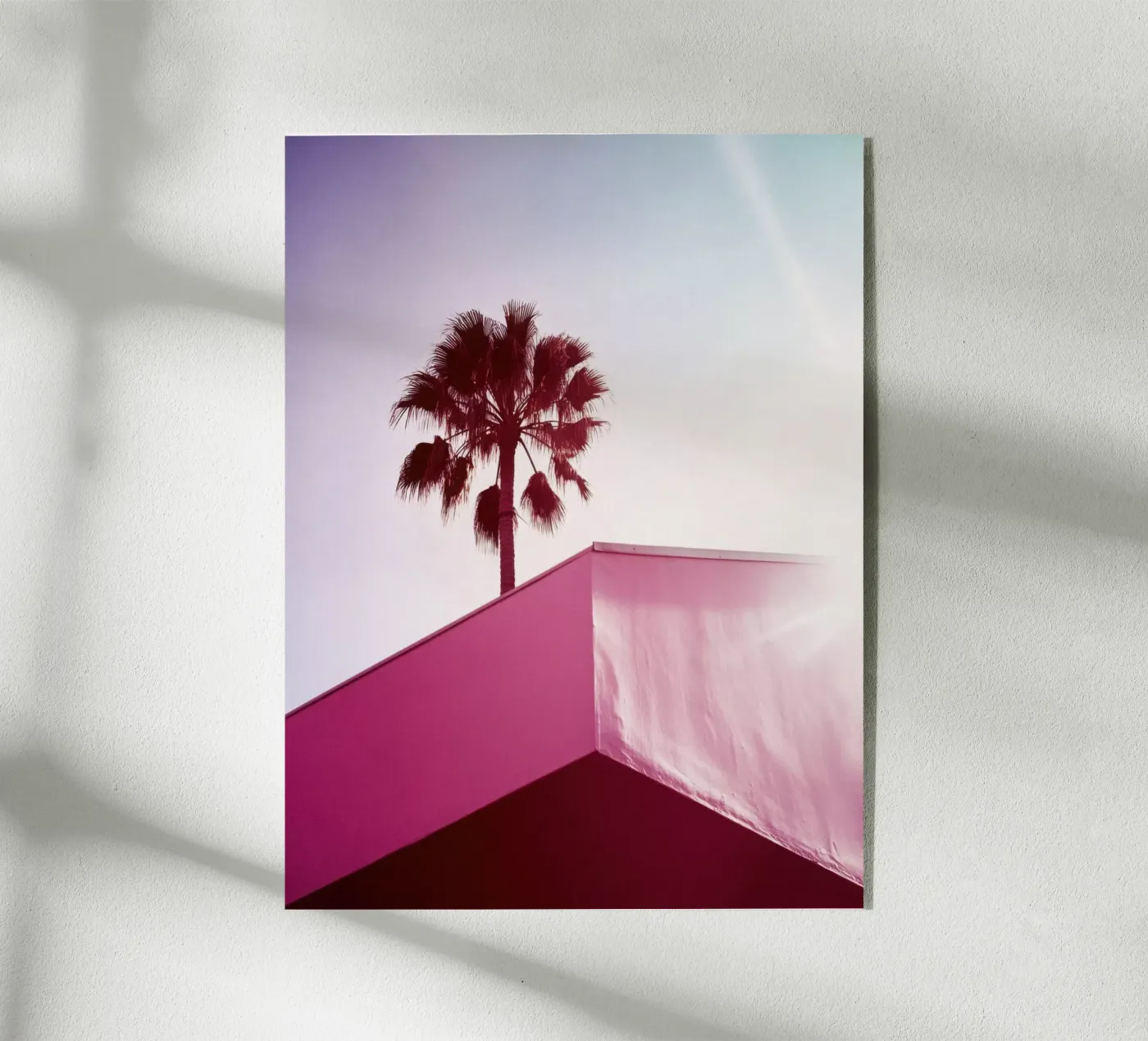 39 plexiglass da Pink California | Affiches & Posters