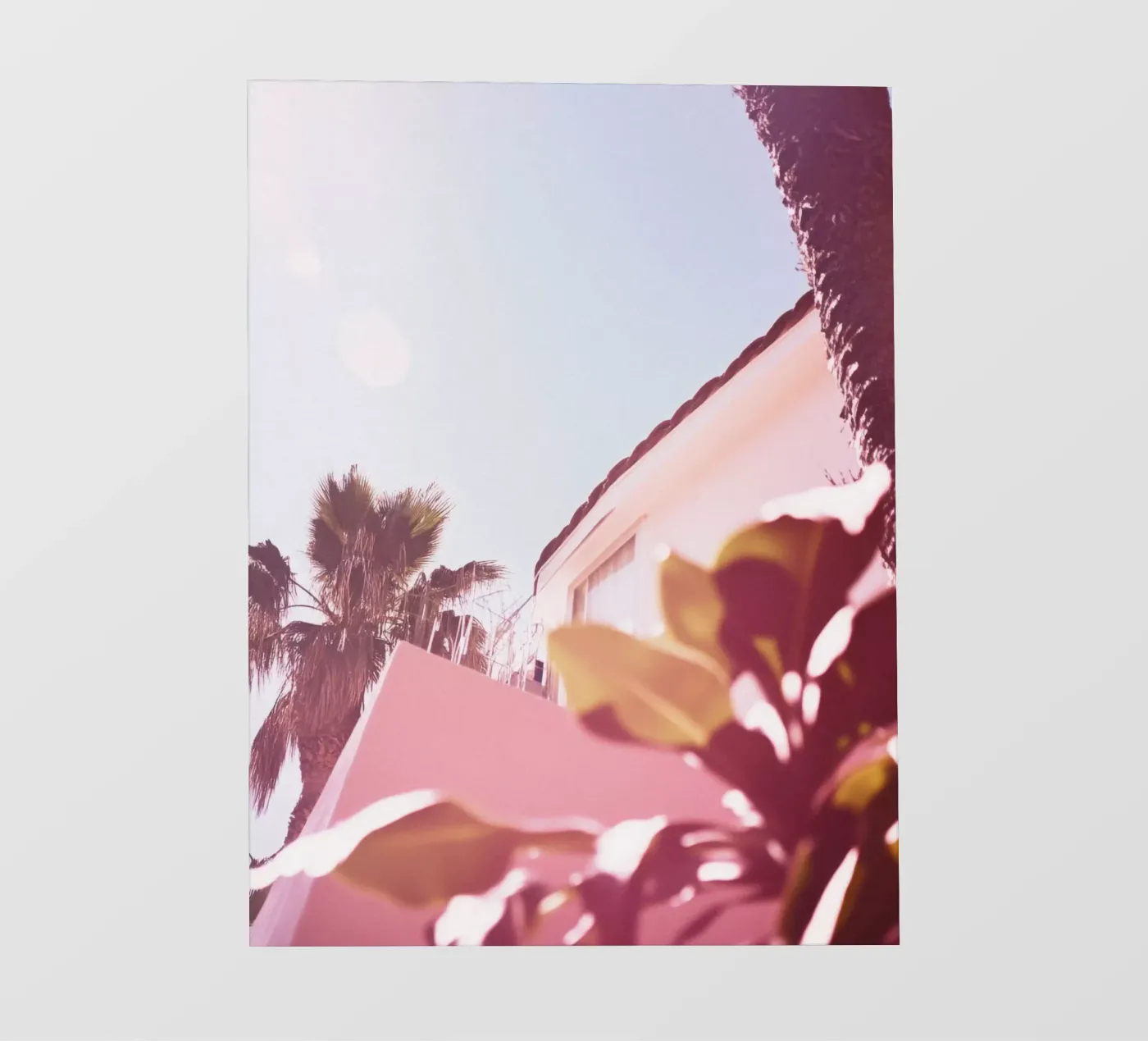 40 fotobehang van Pink California | Affiches & Posters