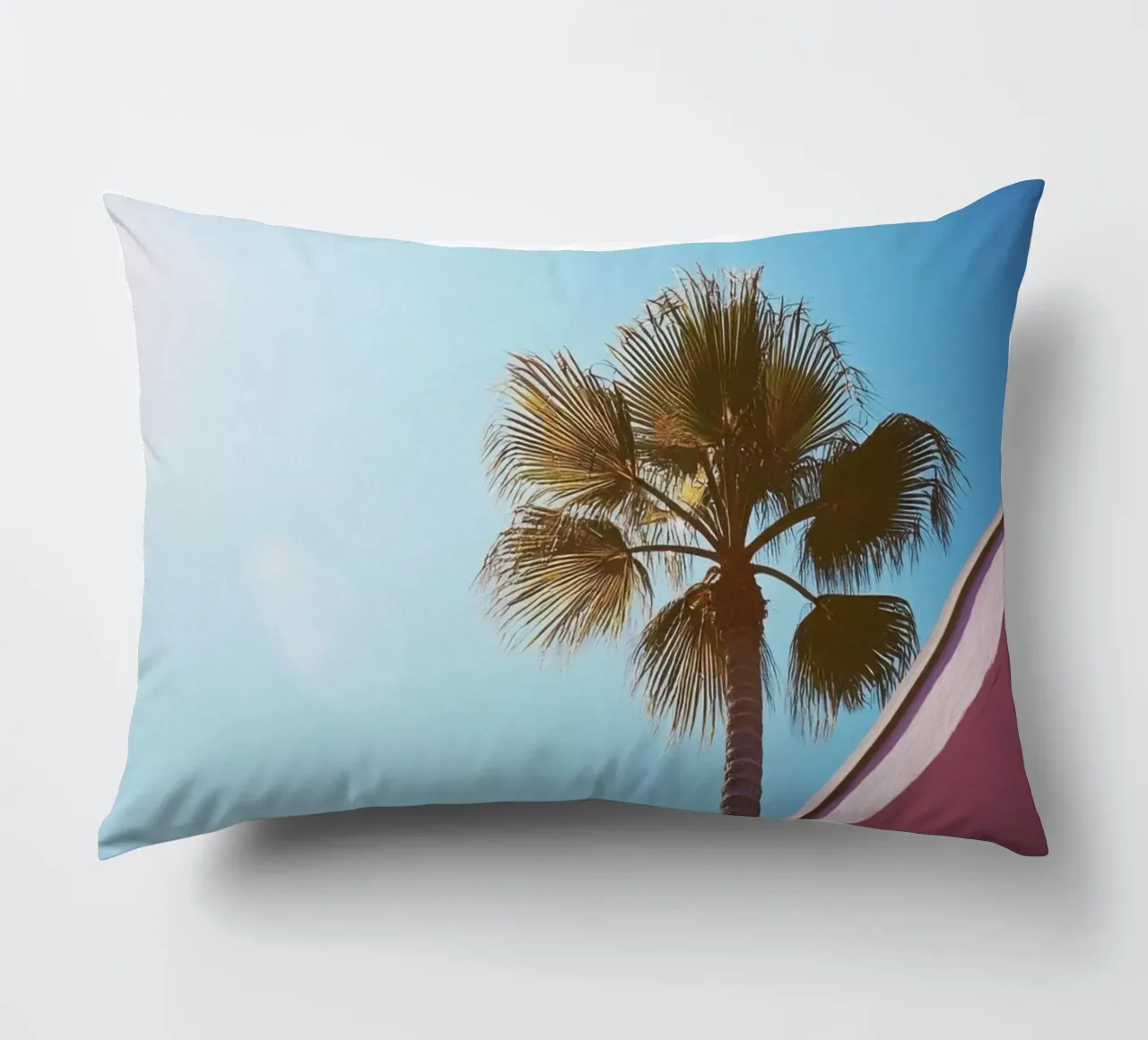 42 cuscino da Pink California | Affiches & Posters