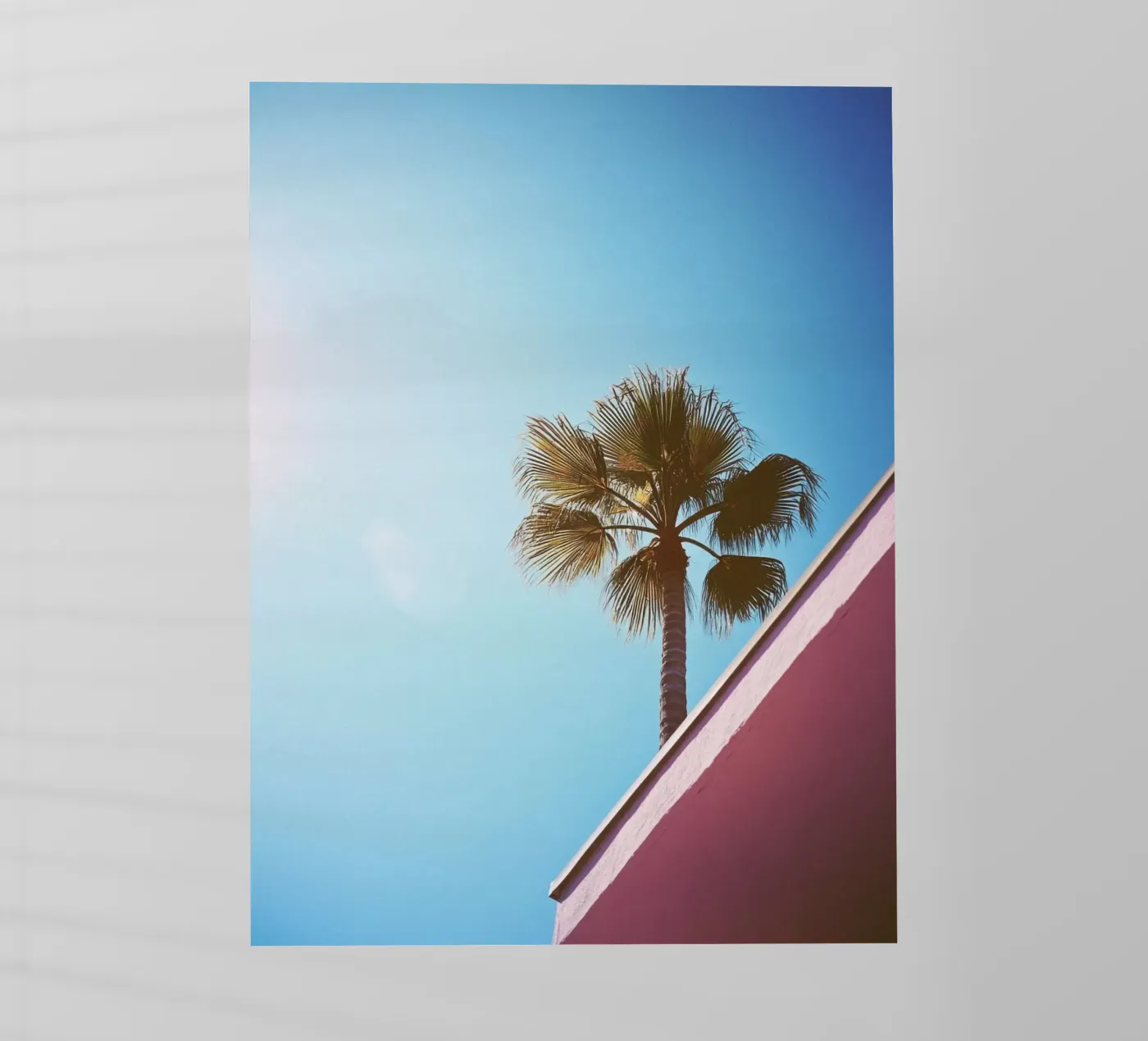 42 pellicola backlit da Pink California | Affiches & Posters