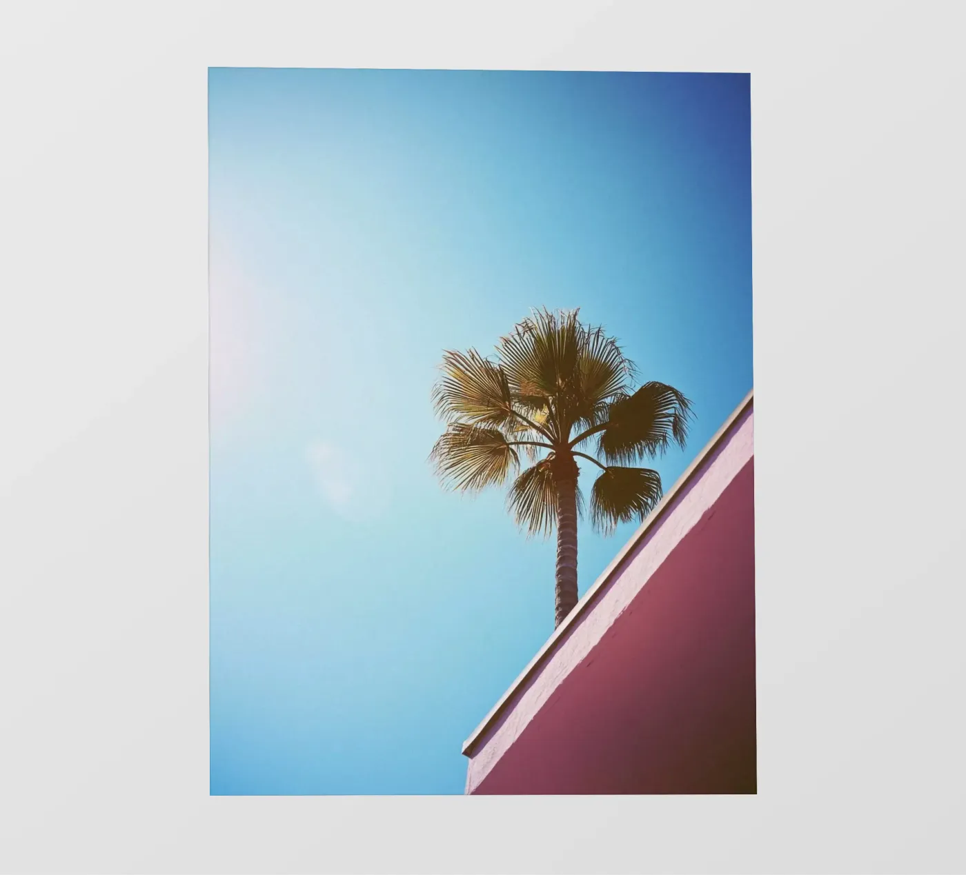 42 pellicola backlit da Pink California | Affiches & Posters