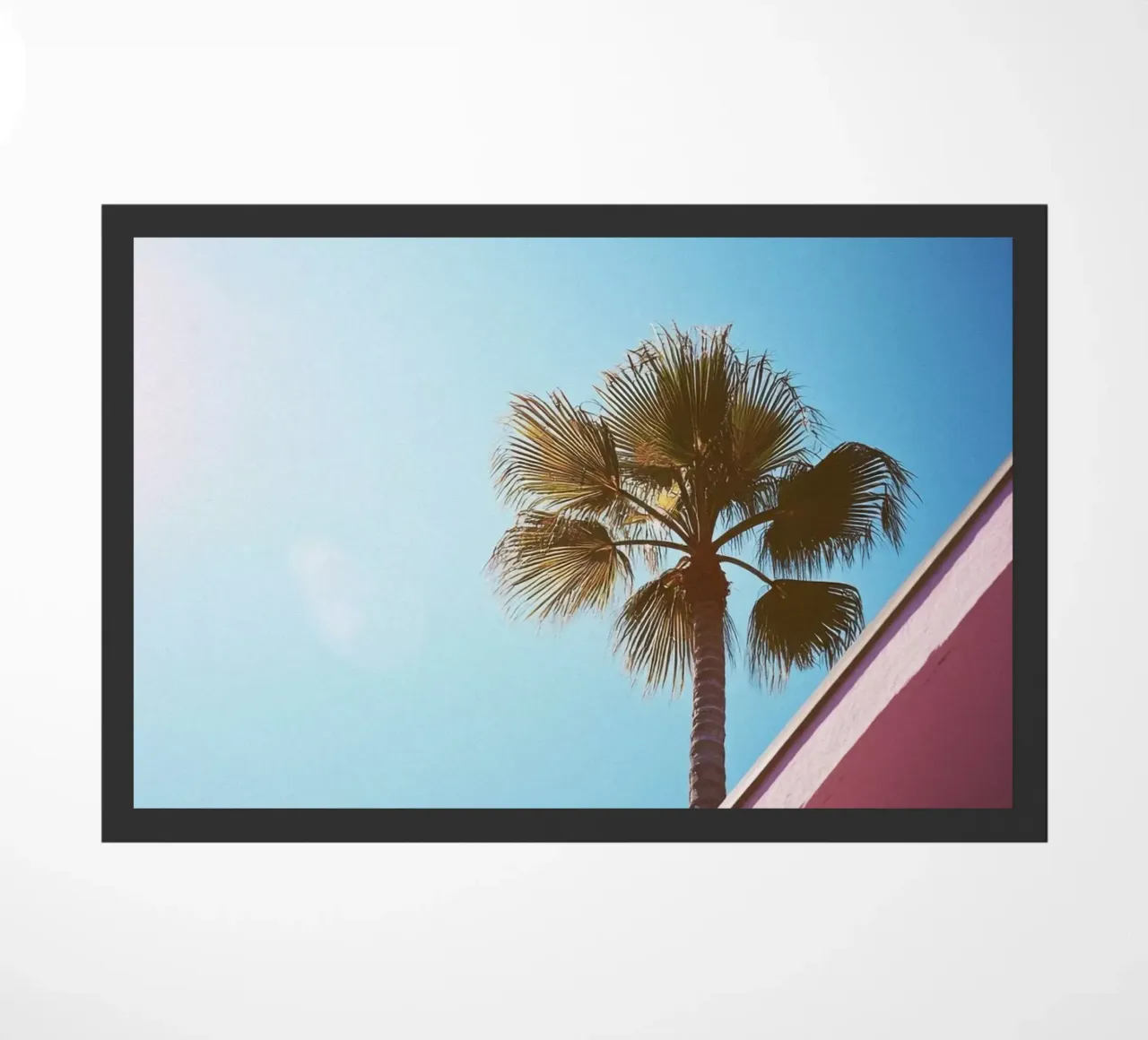 42 zerbino da Pink California | Affiches & Posters