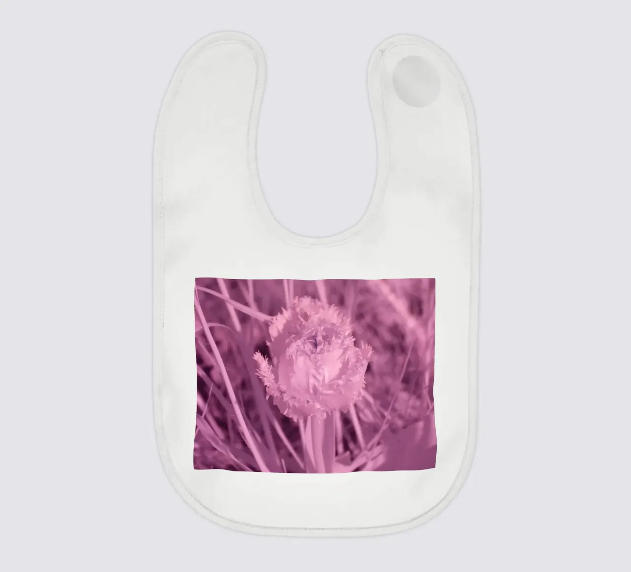 Tulipano in luce infrarossa bavaglino da Alexandra Joseph Fotomomente