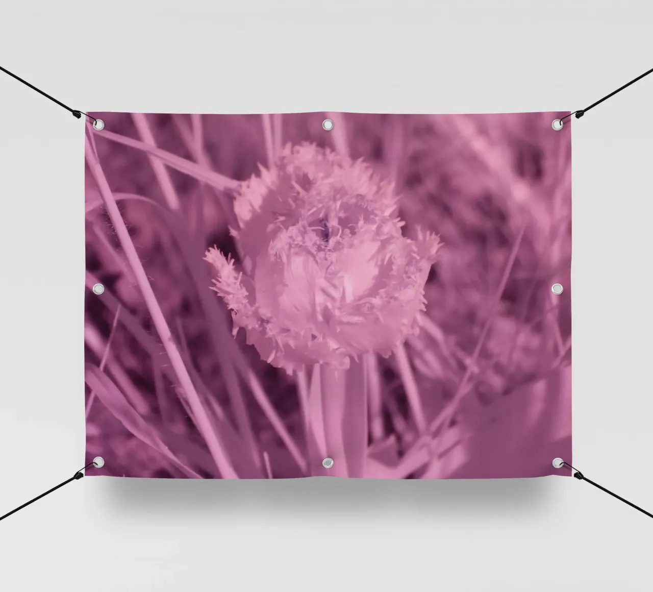 Tulipano in luce infrarossa telo in pvc da Alexandra Joseph Fotomomente