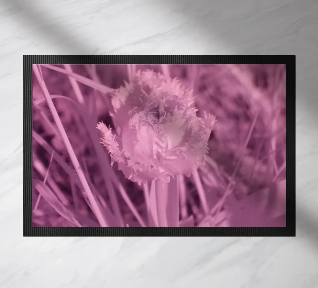 Tulipano in luce infrarossa zerbino da Alexandra Joseph Fotomomente