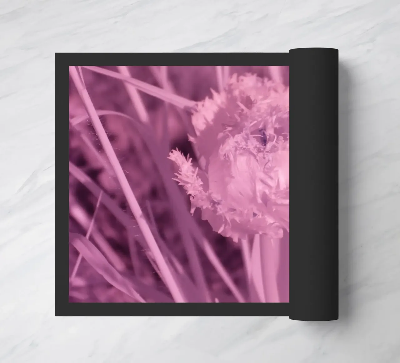 Tulipano in luce infrarossa zerbino da Alexandra Joseph Fotomomente