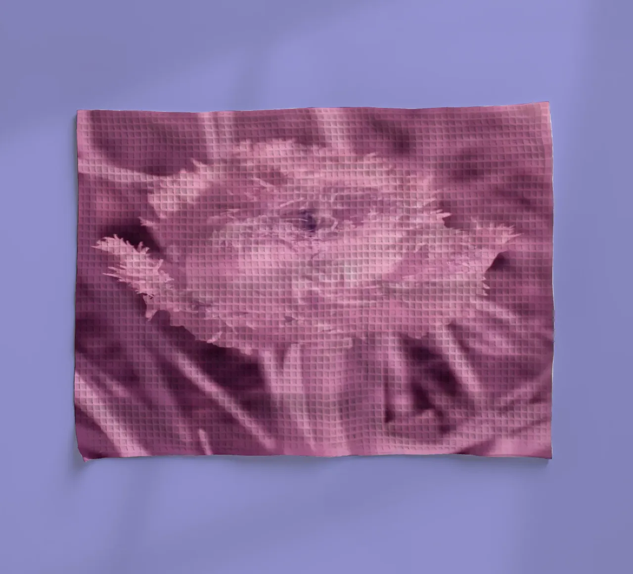 Tulipano in luce infrarossa canovaccio da cucina da Alexandra Joseph Fotomomente