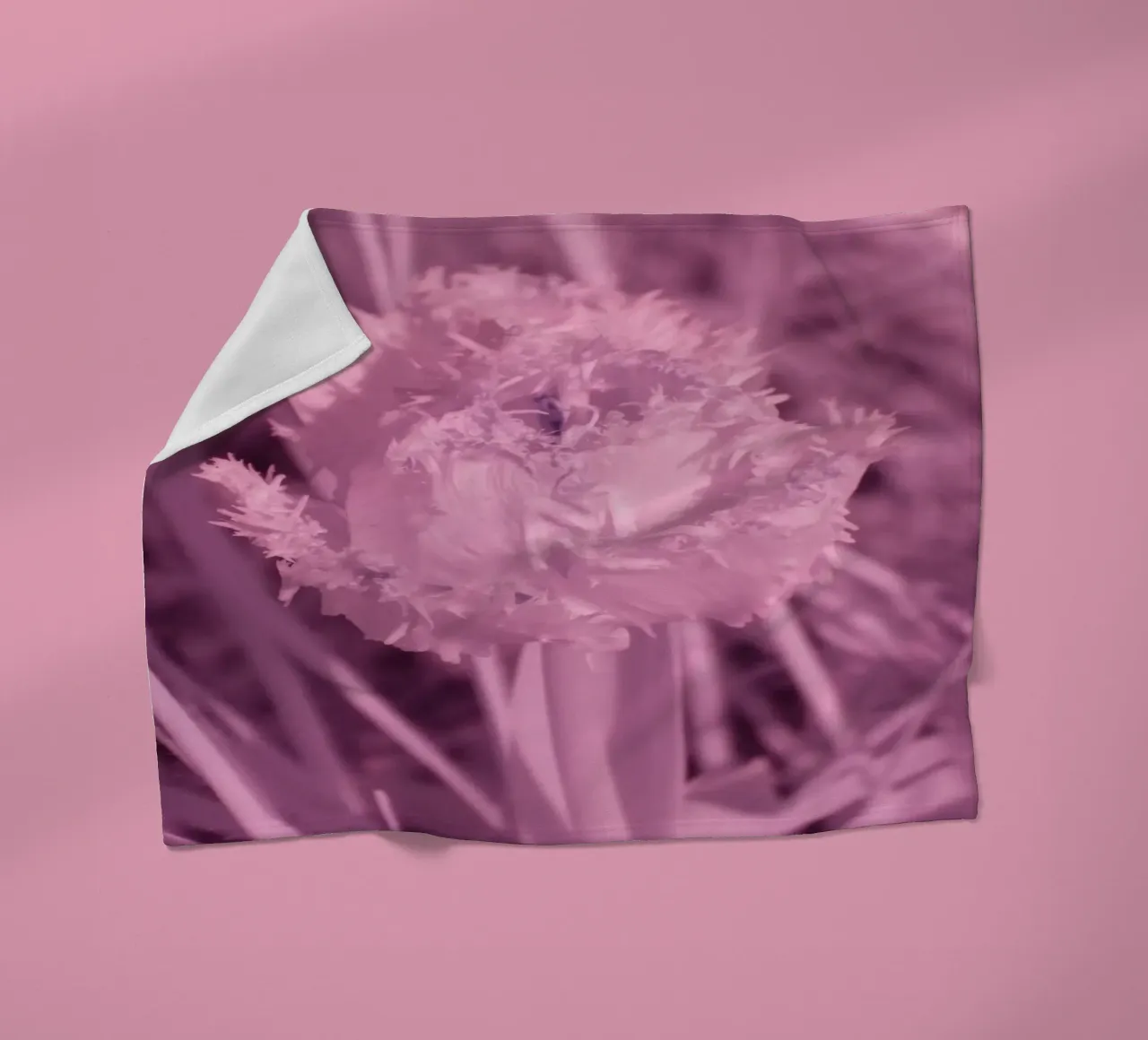 Tulipano in luce infrarossa coperta in pile da Alexandra Joseph Fotomomente