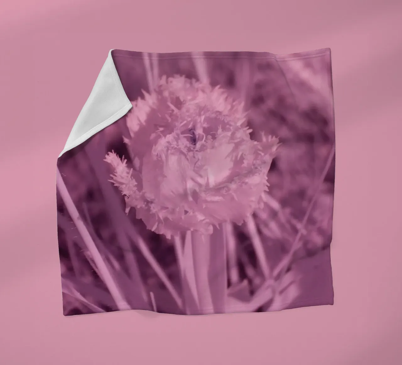 Tulipano in luce infrarossa coperta in pile da Alexandra Joseph Fotomomente