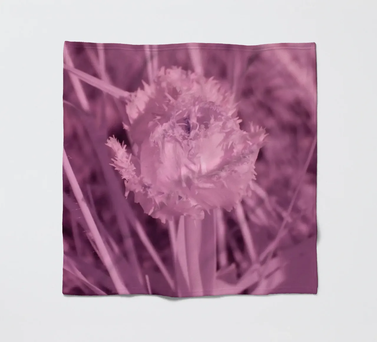 Tulipano in luce infrarossa coperta in pile da Alexandra Joseph Fotomomente