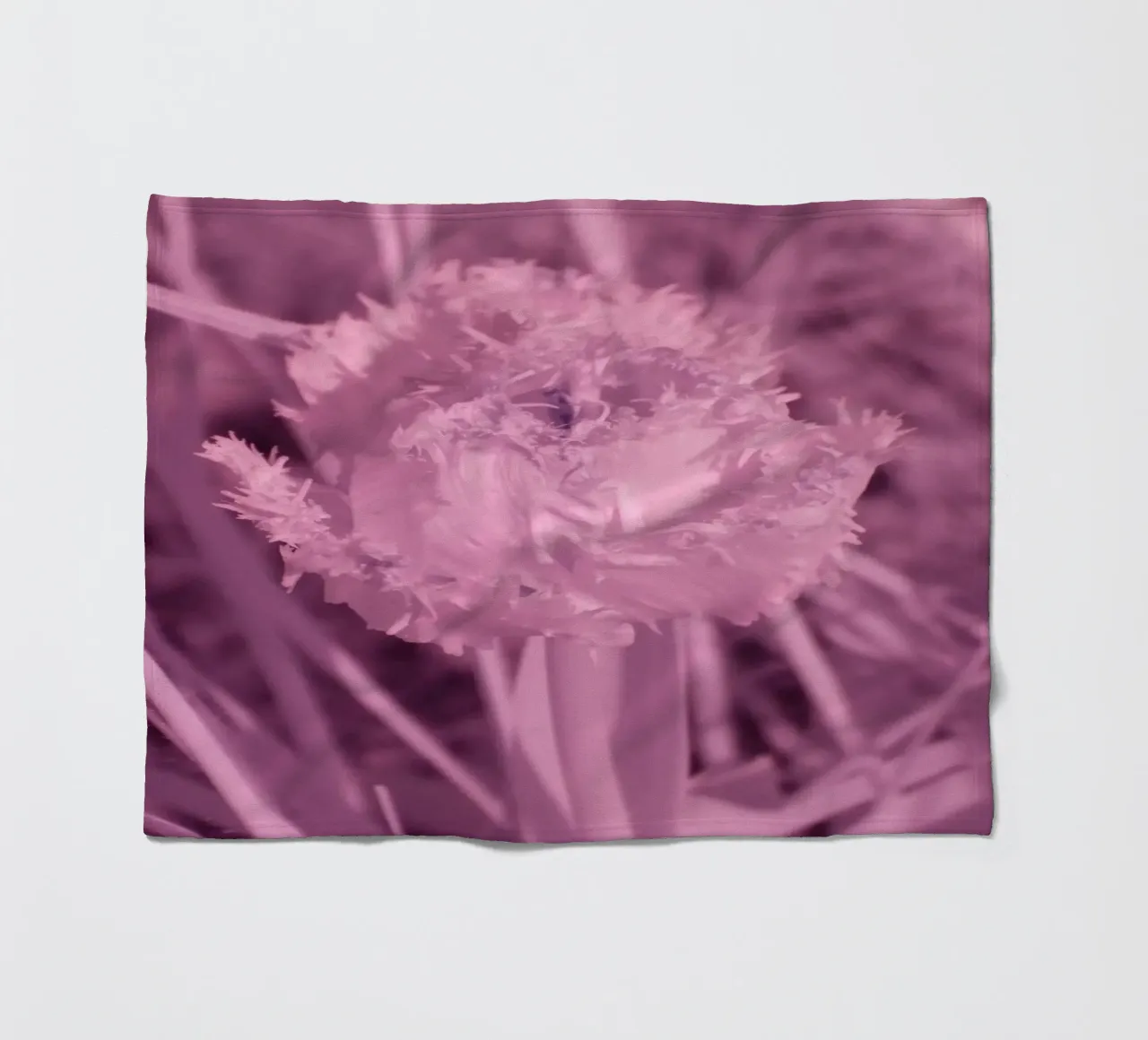 Tulipano in luce infrarossa coperta in pile da Alexandra Joseph Fotomomente