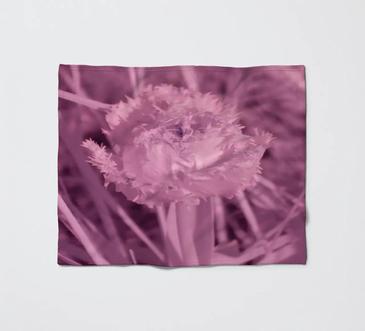 Tulipano in luce infrarossa coperta in pile da Alexandra Joseph Fotomomente