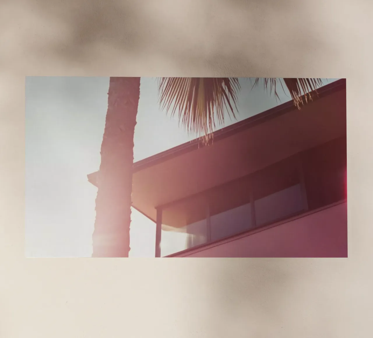 44 pellicola backlit da Pink California | Affiches & Posters