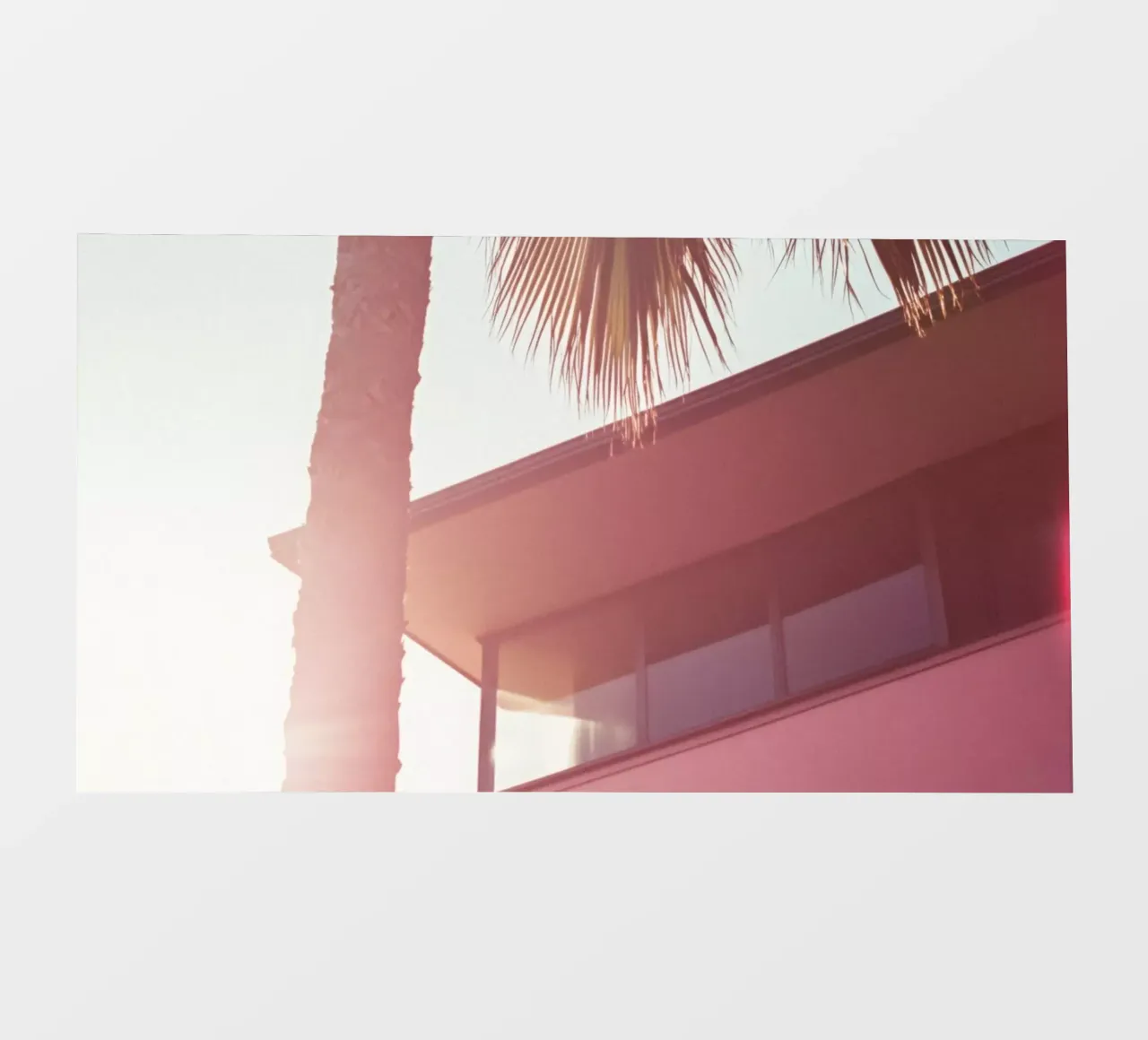 44 pellicola backlit da Pink California | Affiches & Posters