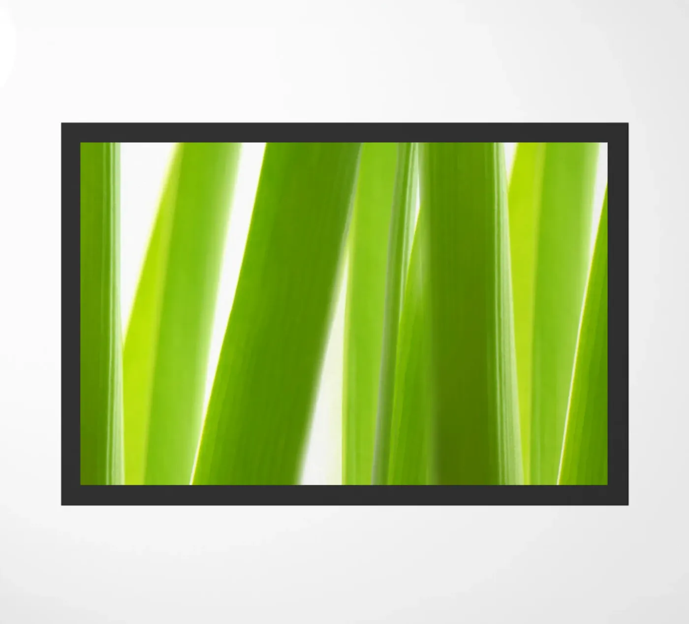 Green zerbino da Atteloi
