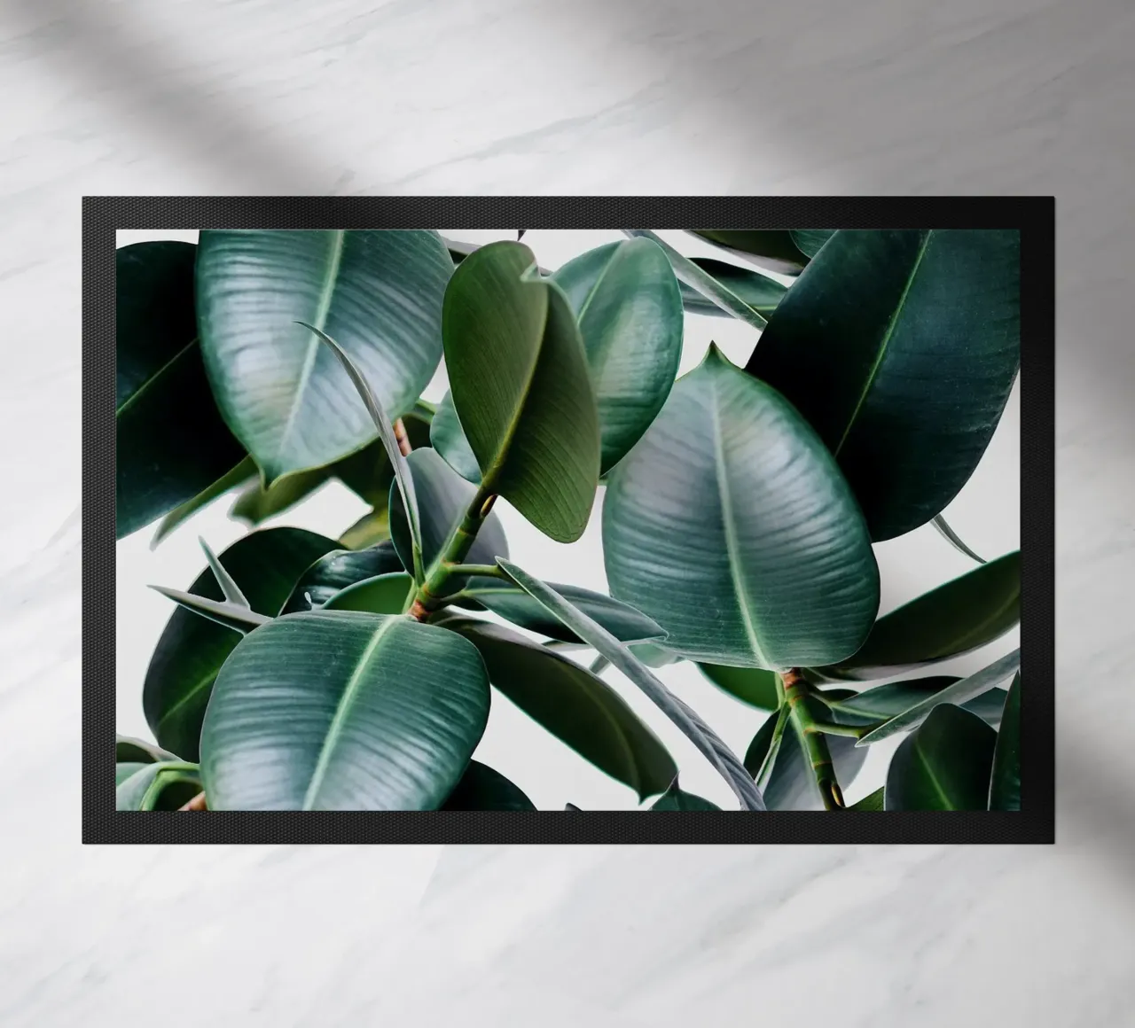 Elastica tropicale zerbino da 83oranges.com