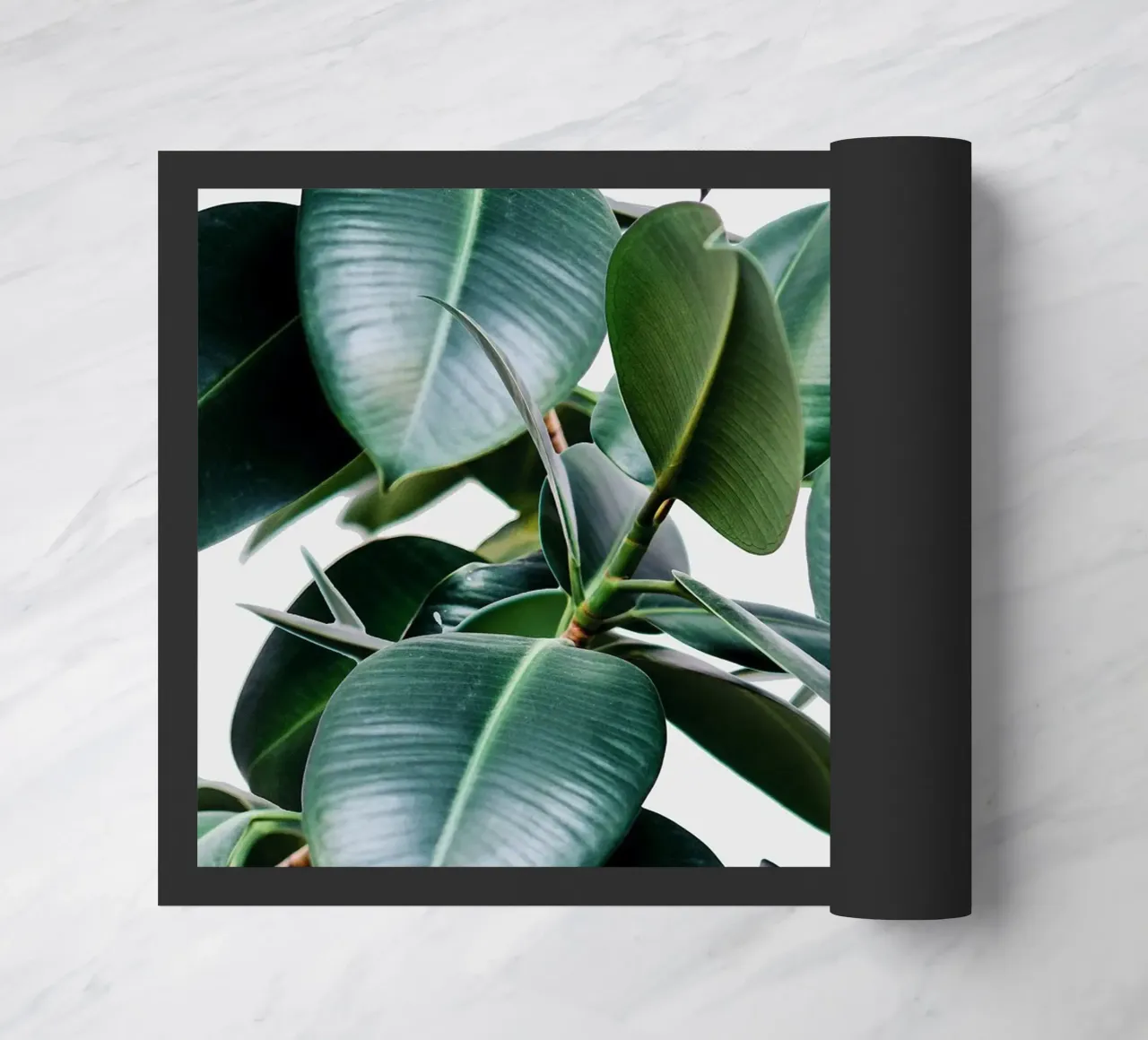 Elastica tropicale zerbino da 83oranges.com