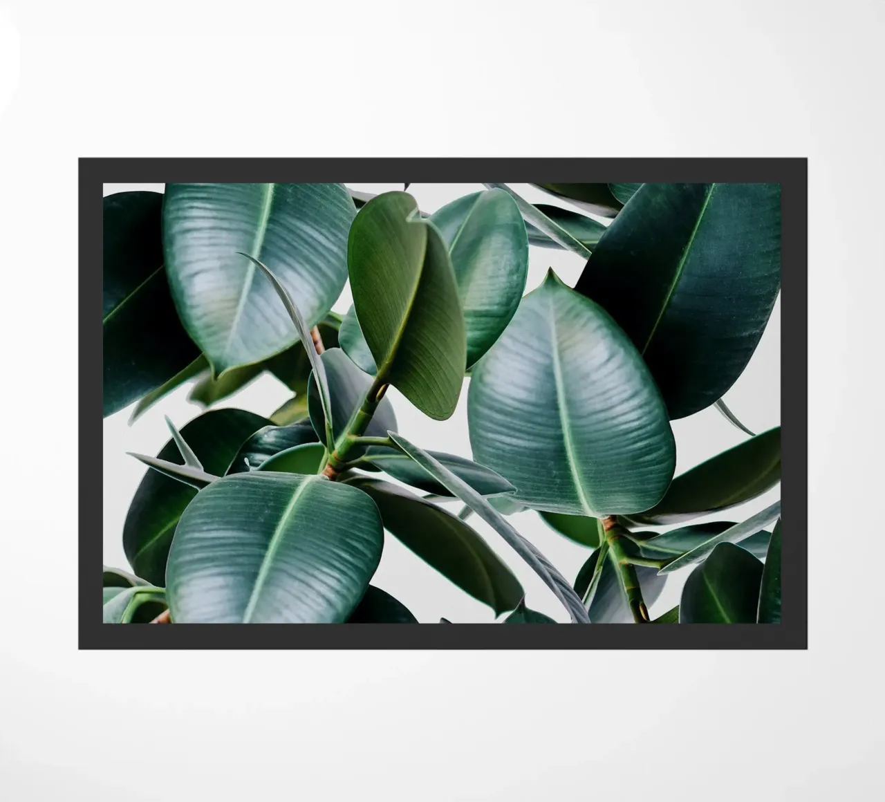 Elastica tropicale zerbino da 83oranges.com