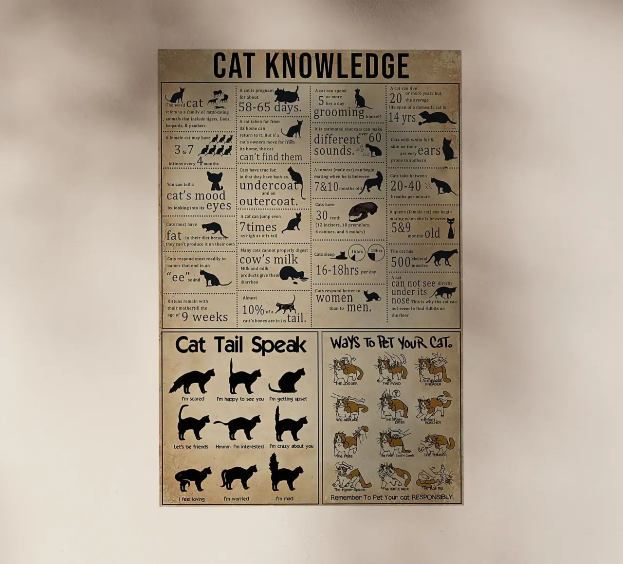 Cat Knowledge pellicola backlit da Maritiknowled