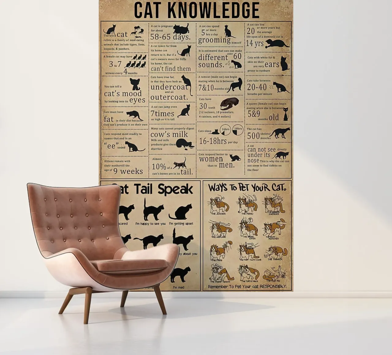 Cat Knowledge fotobehang van Maritiknowled