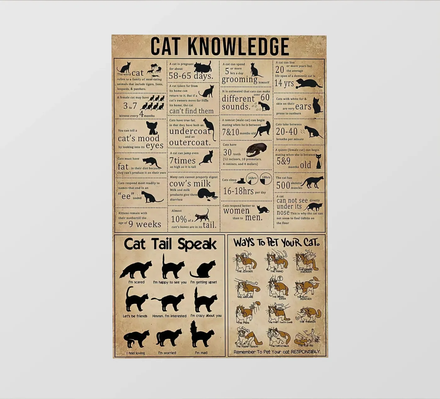 Kattenkennis fotobehang van Maritiknowled